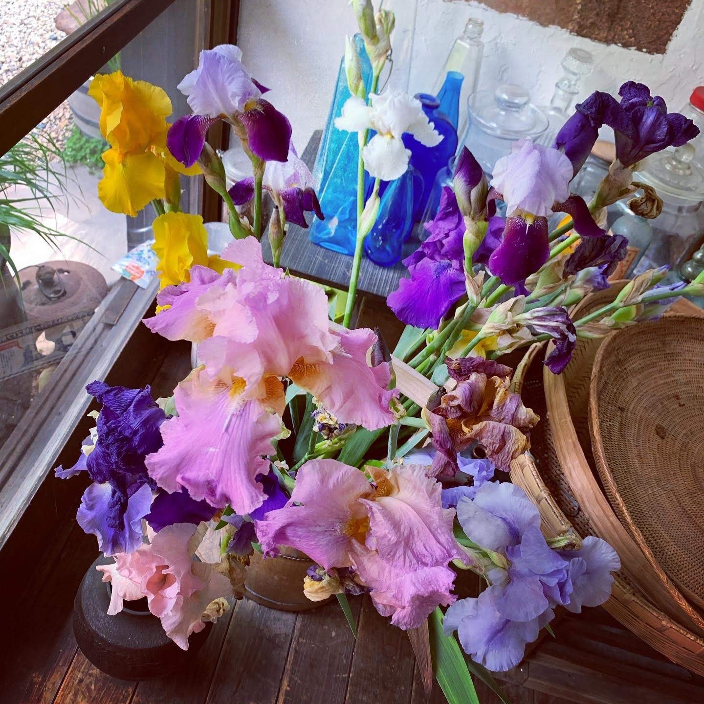 季節のお花を飾っています