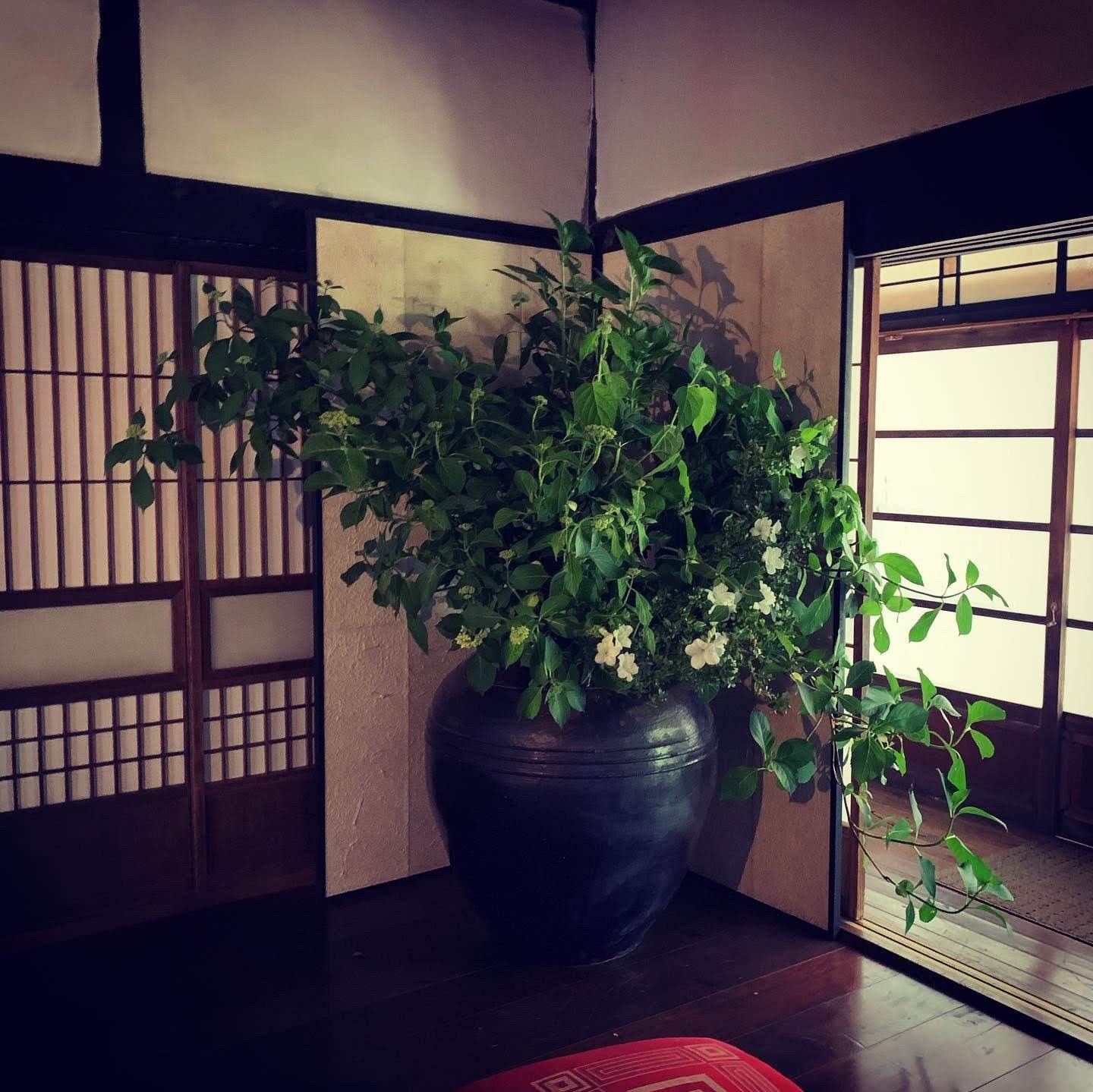 大胆な季節の枝を飾っています。