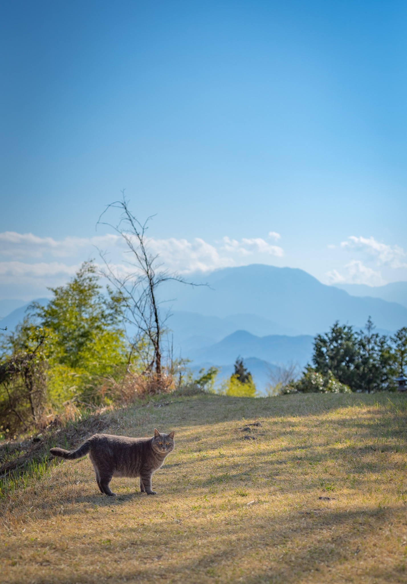 馬の背は歩いて1分