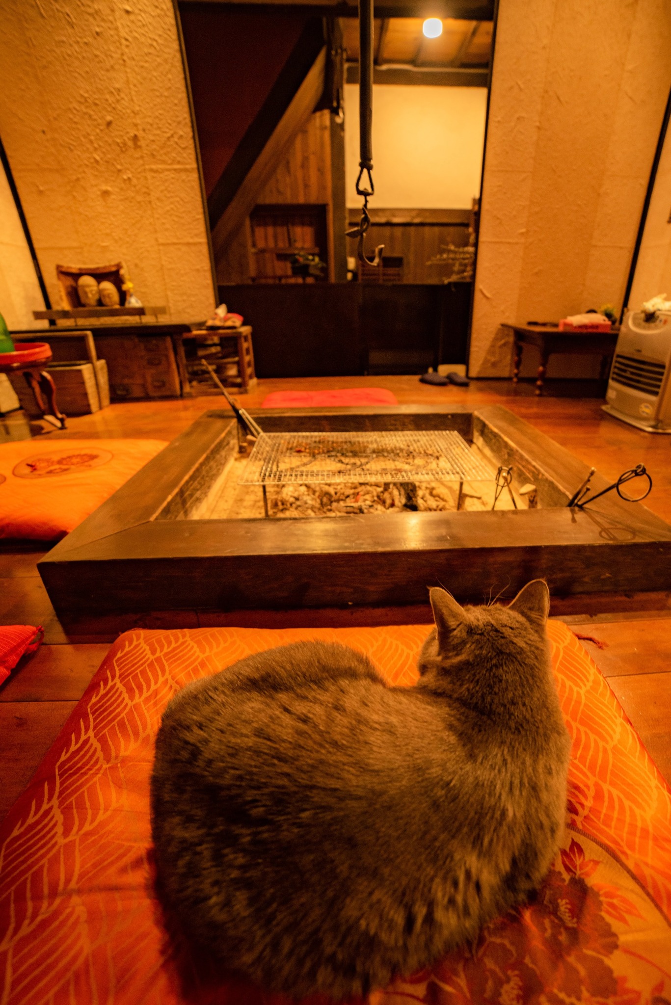 囲炉裏・猫が来る時も。