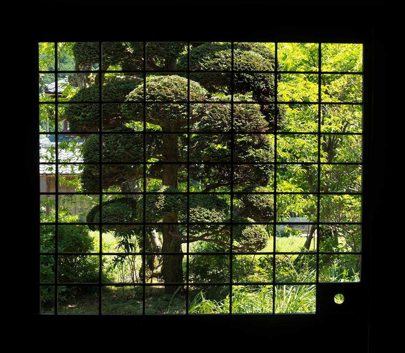 玄関土間の障子引き戸から見える庭。