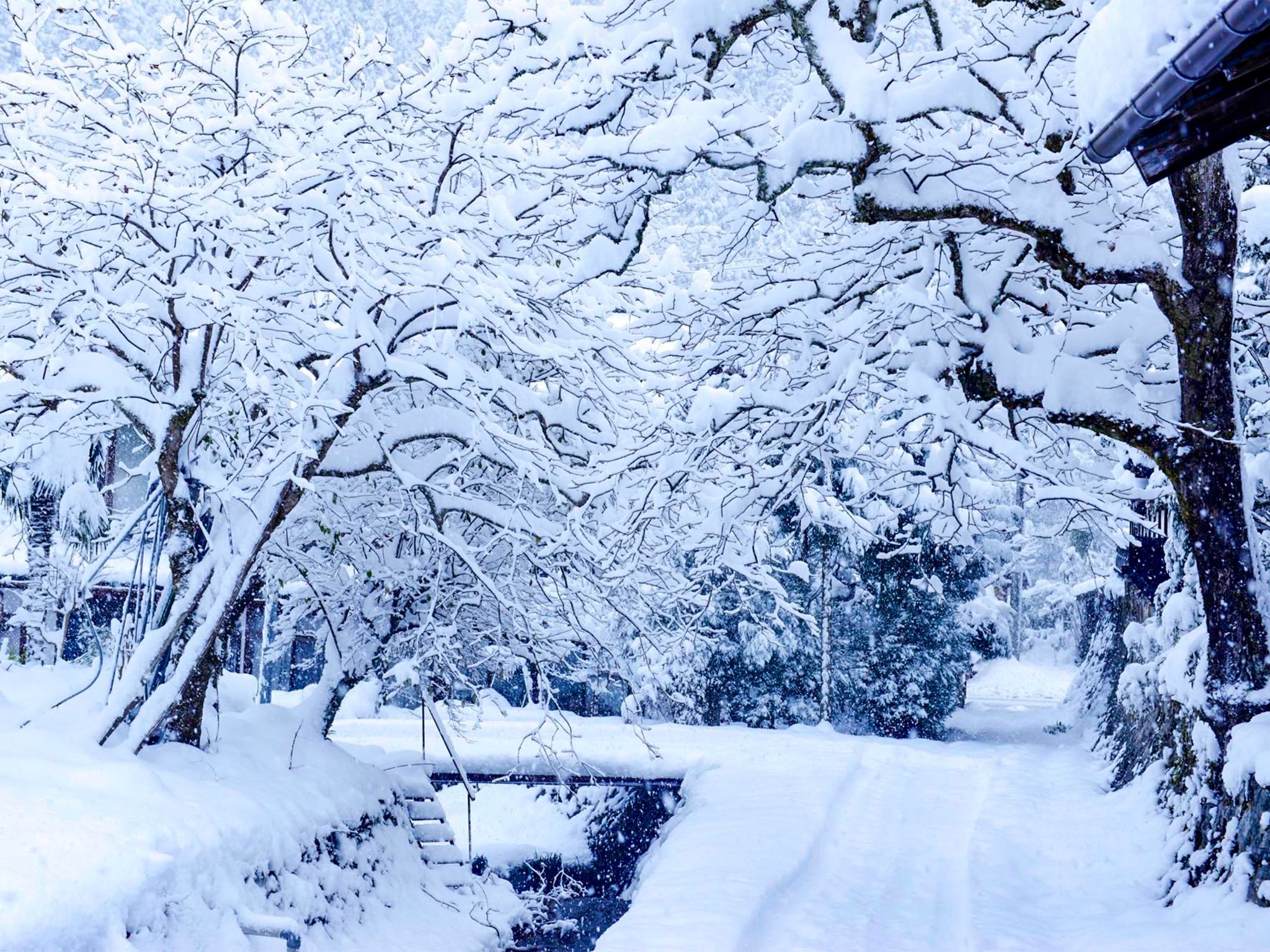 ・雪の日のカーサ美山の玄関前の様子