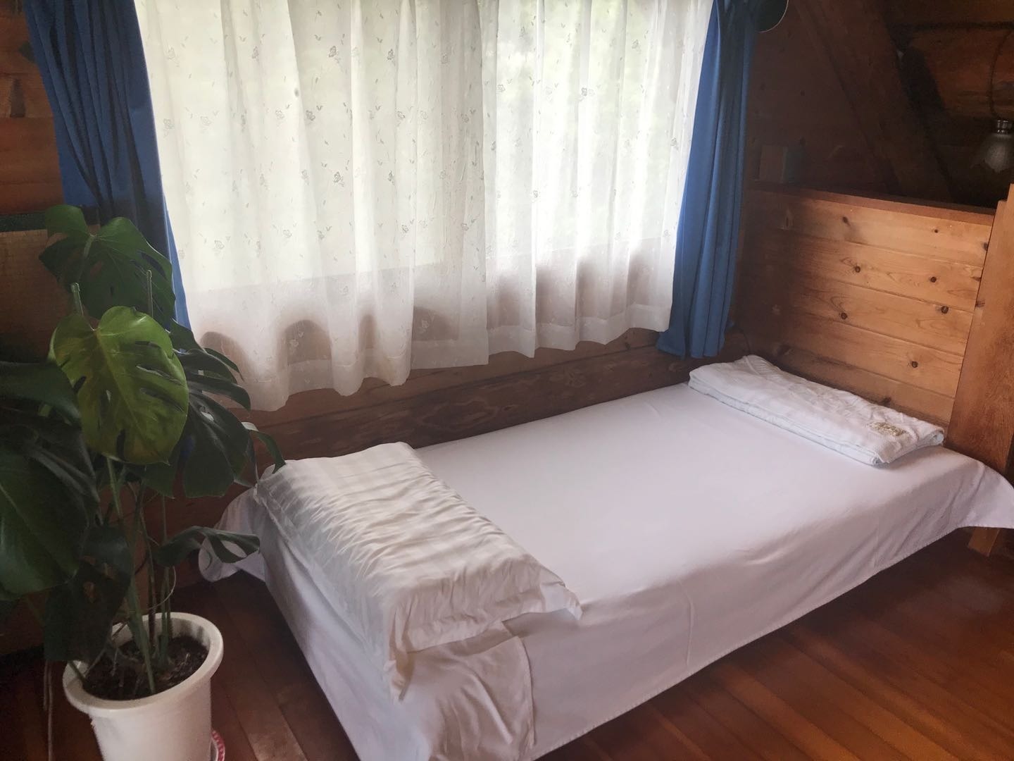 山に囲まれ太平洋を眺められる原木ログハウス　檜露天風呂付　有／民泊【Ｖａｃａｔｉｏｎ　ＳＴＡＹ提供】 写真3