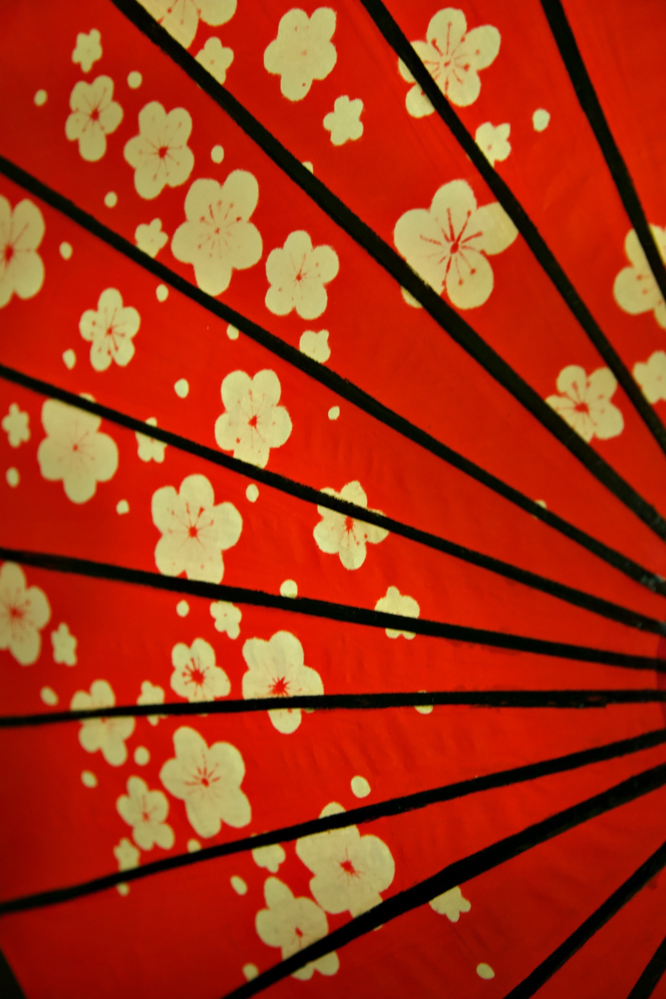 IROHA Residential Suite Asakusa Skytree/民泊のnull