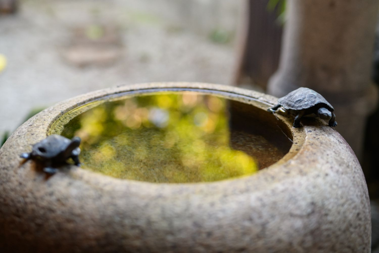 JPRESERVE 東寺 のnull