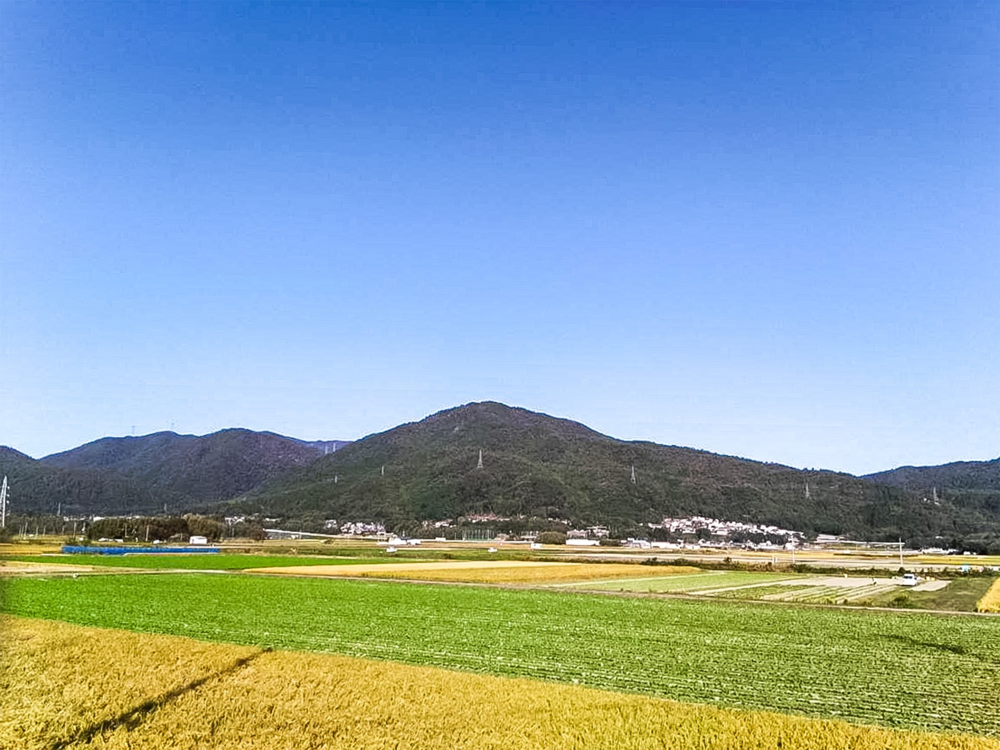 ・思い切り深呼吸をしたくなるような、のどかな風景が広がっています