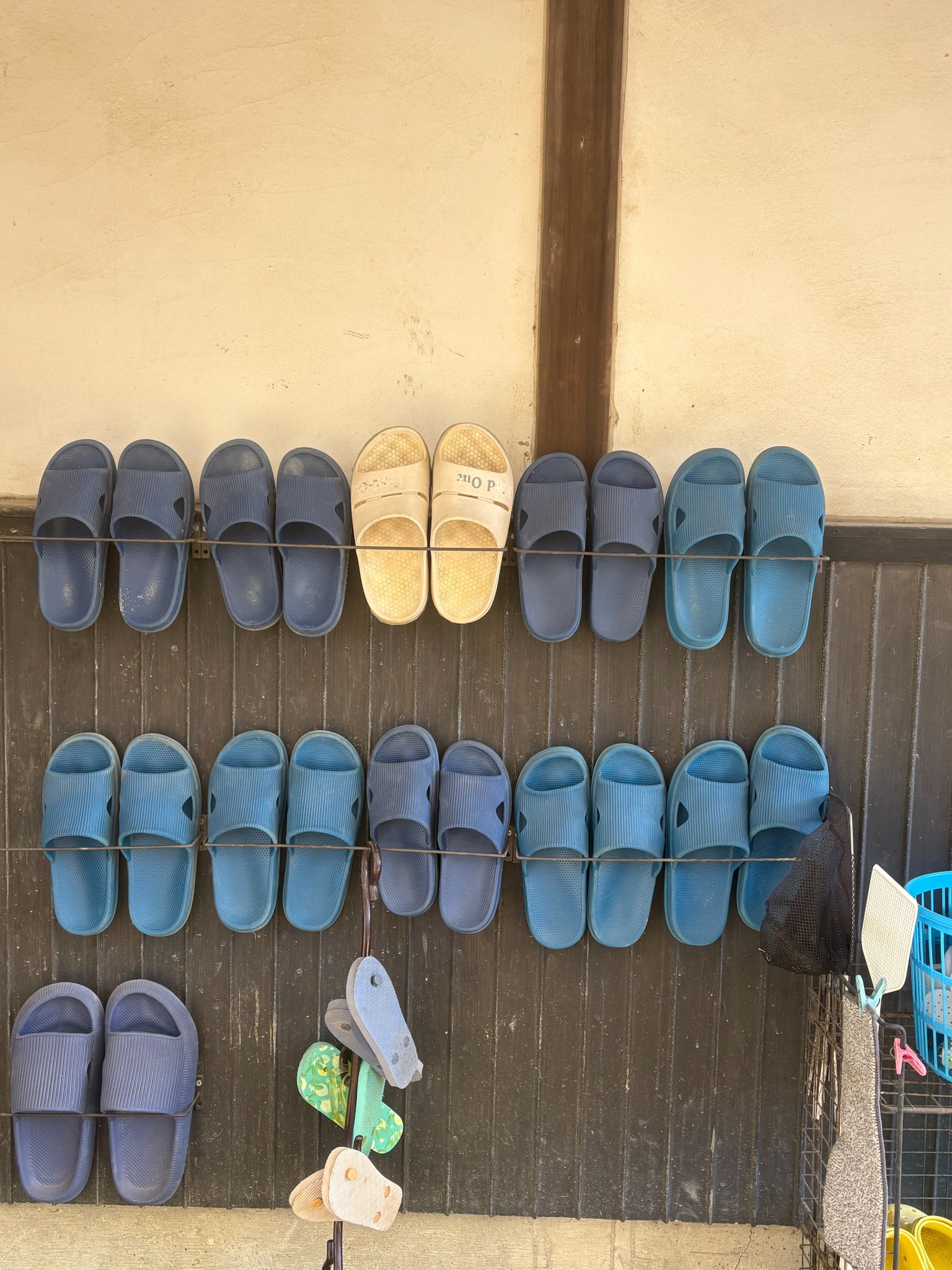 water shoes