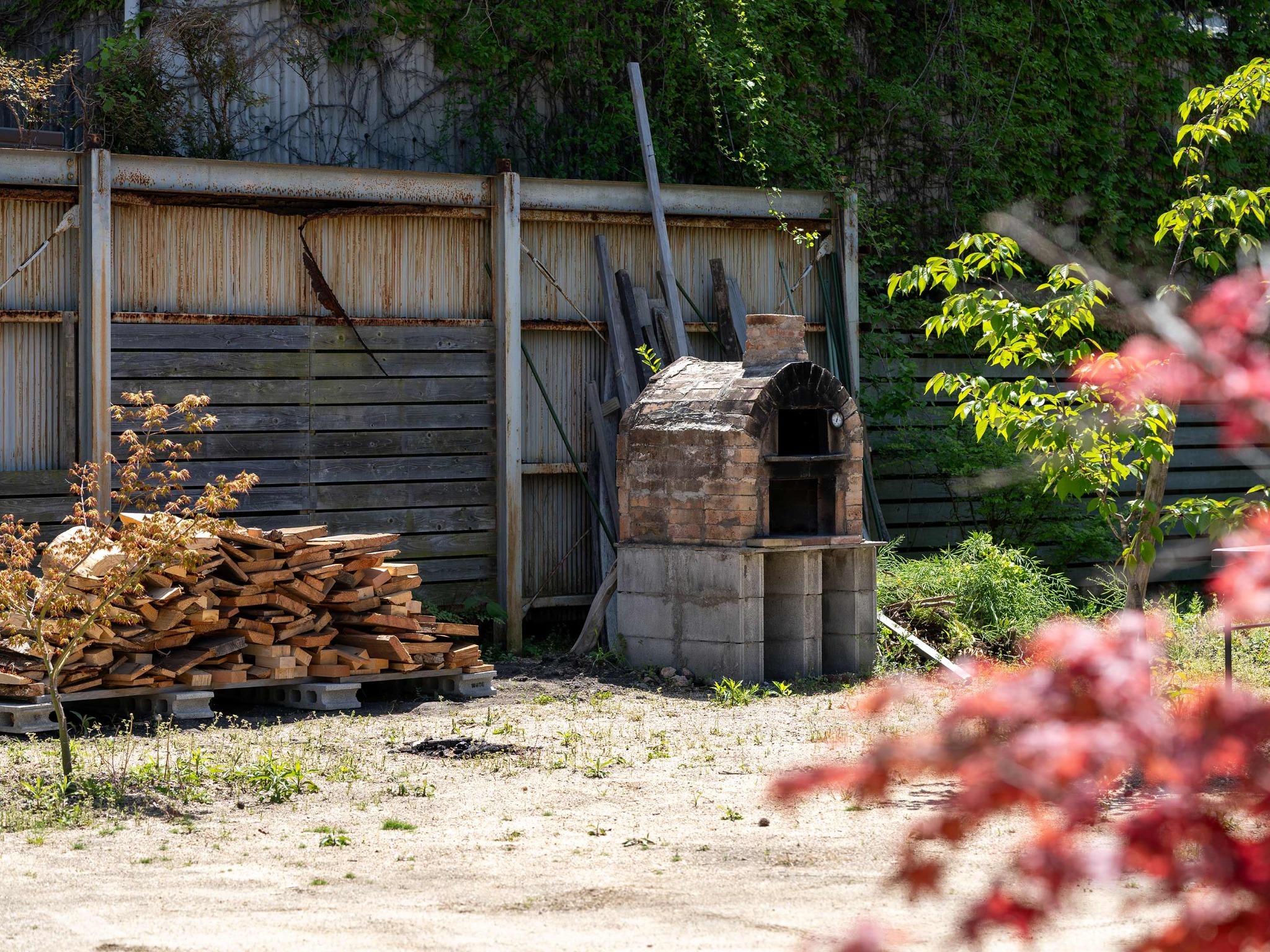 ・【ピザ窯】薪窯で焼く本格ピザ体験!