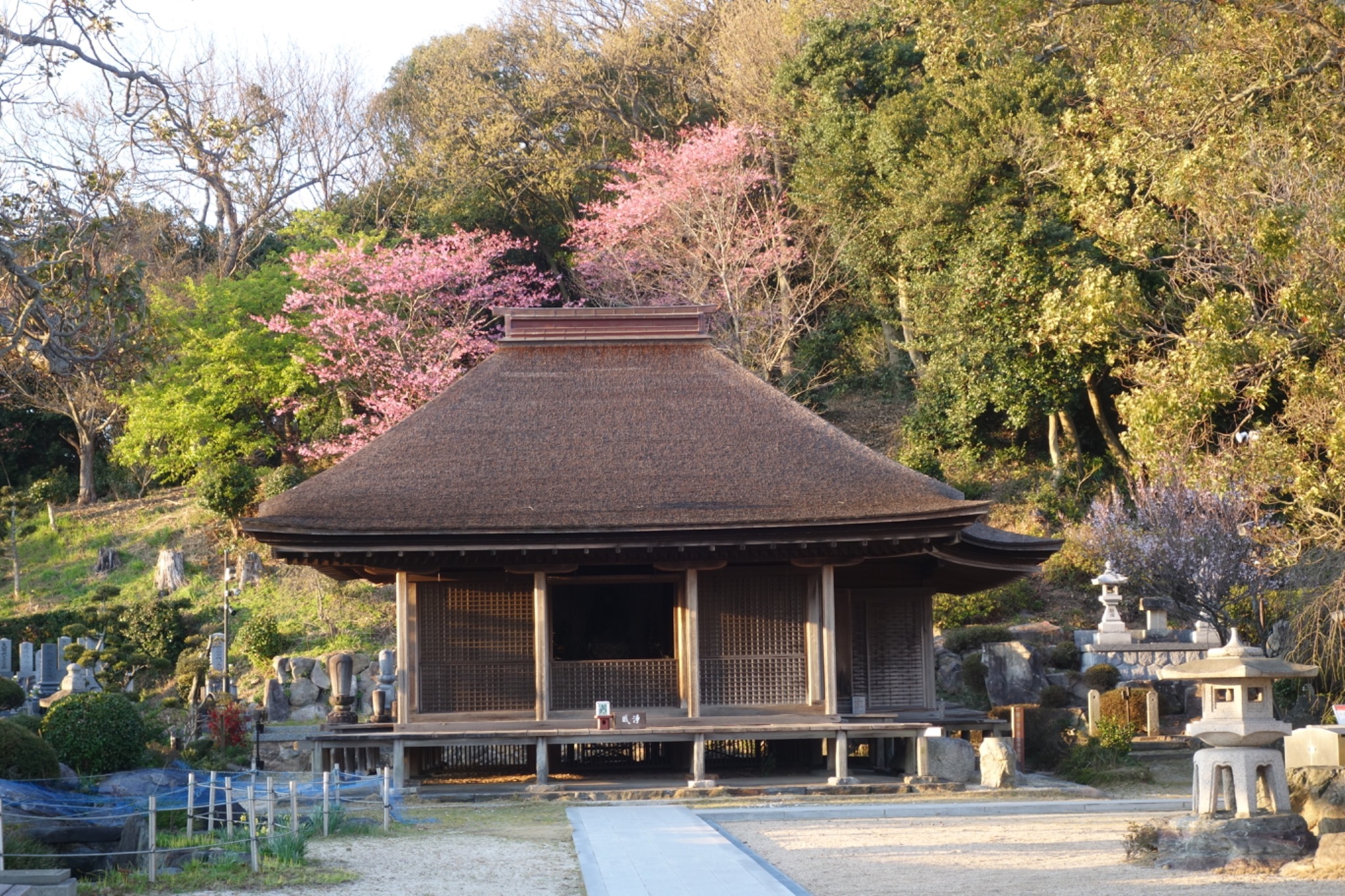 金蓮寺の国宝・弥陀堂(吉良町饗庭)