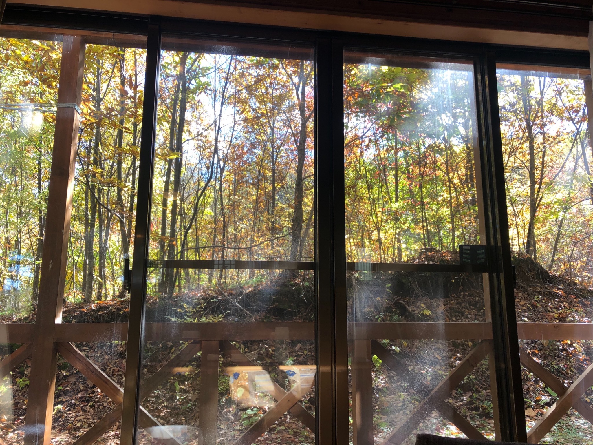 1棟丸ごと、奧 八ヶ岳・白樺林を眺め、癒される「森のリトリート・ハウス」 のnull