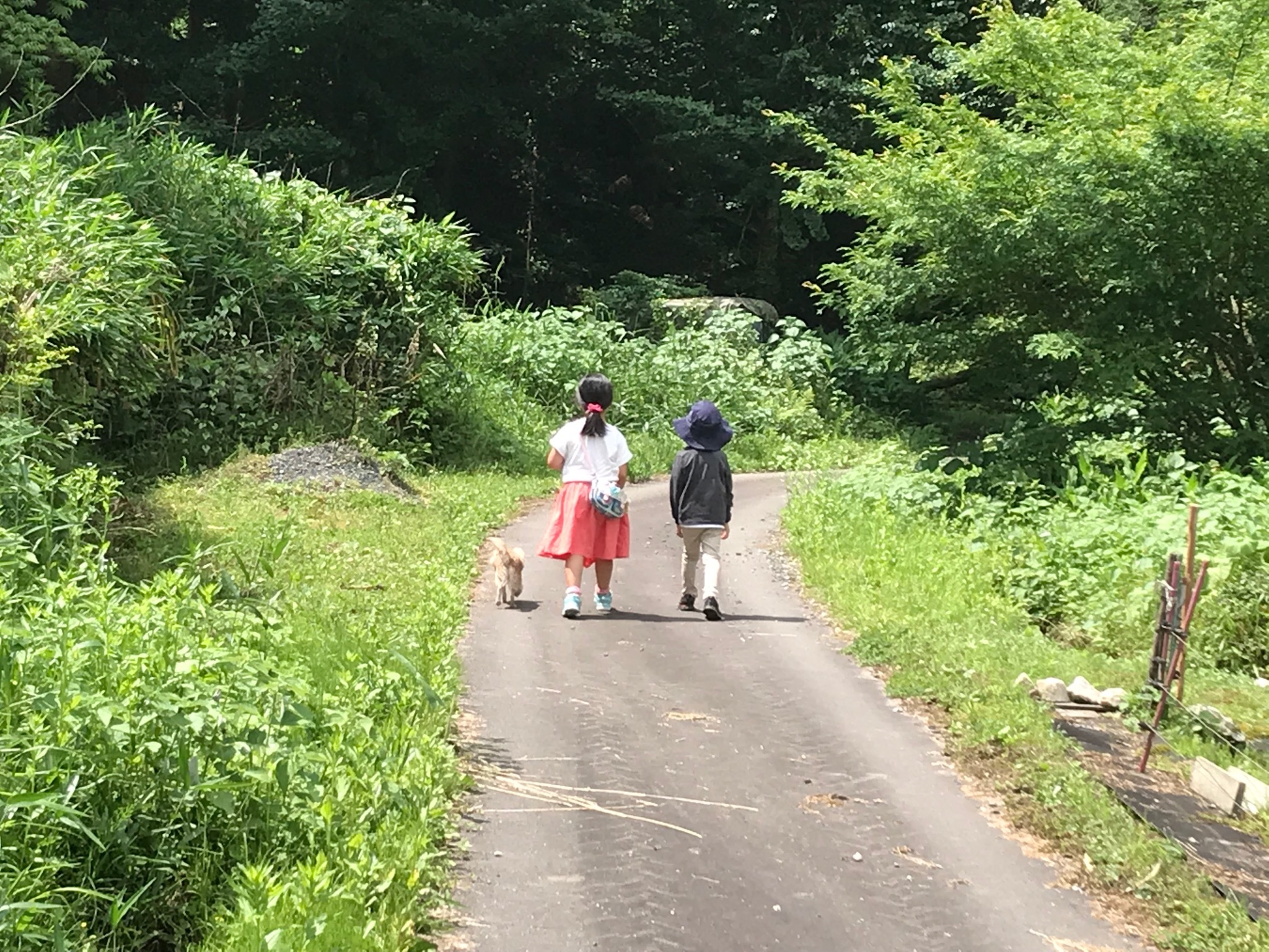 田舎のおばあちゃんの家