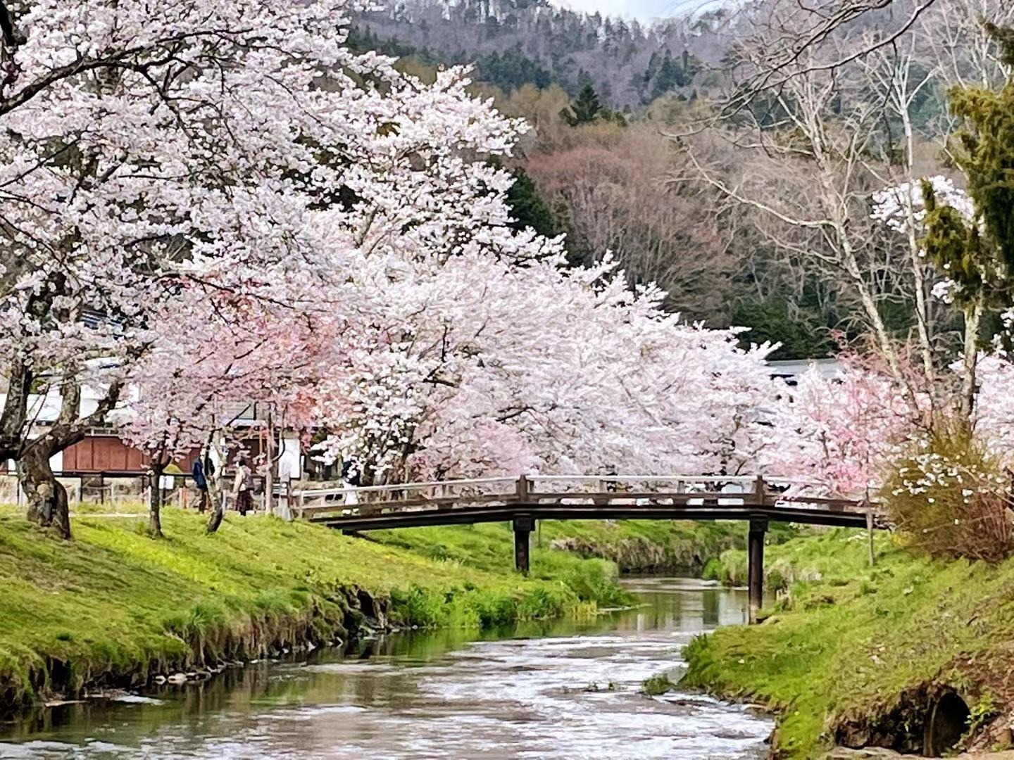 懐かしい日本家屋の宿　民宿富島　【Ｖａｃａｔｉｏｎ　ＳＴＡＹ提供】 写真2