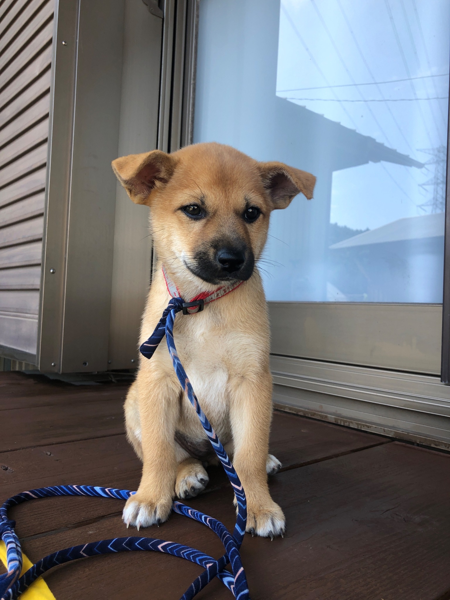 あたしが看板娘だよ