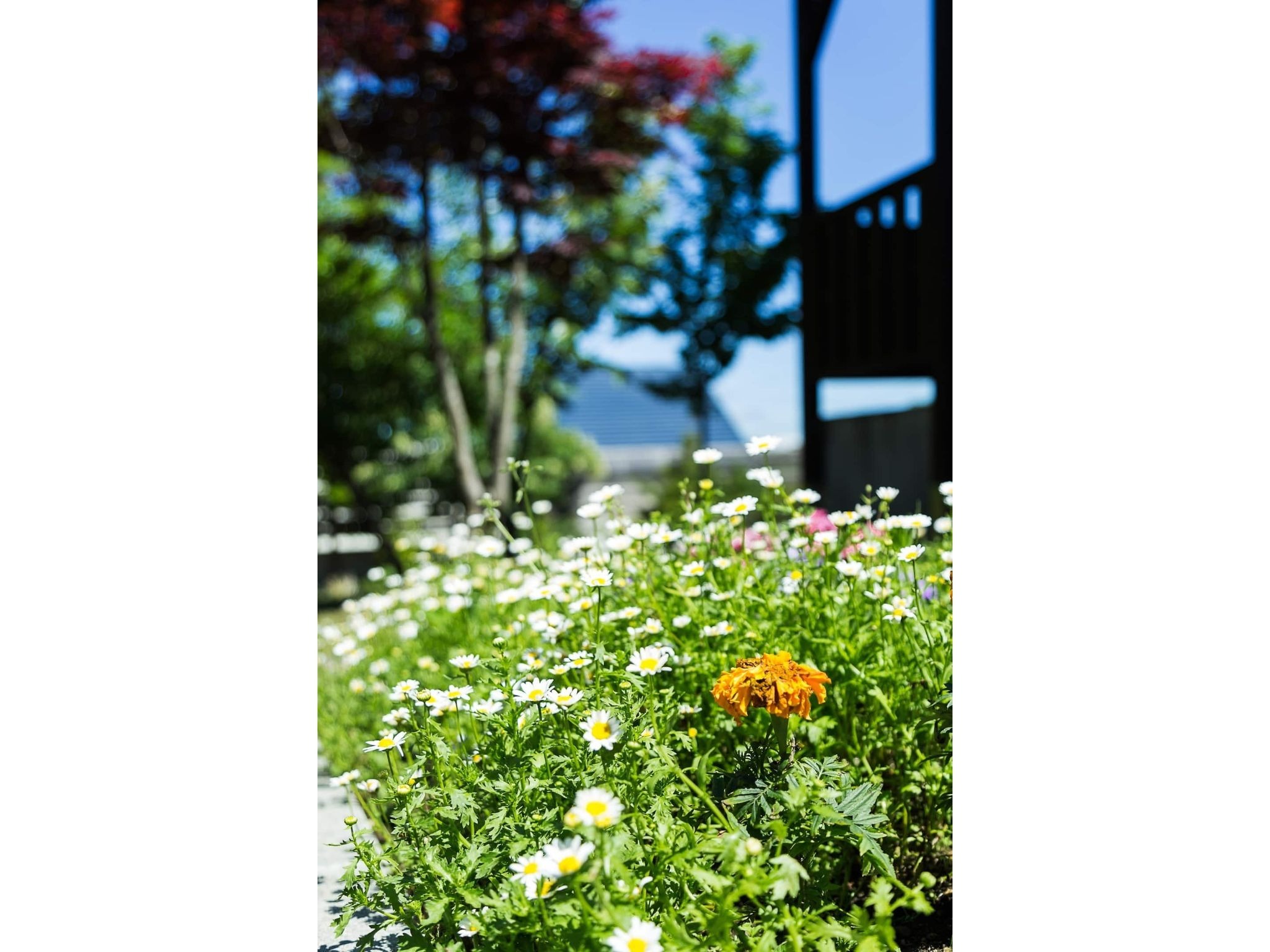 ＴＨＥ　ＮＡＴＵＲＥ／民泊【Ｖａｃａｔｉｏｎ　ＳＴＡＹ提供】 写真3