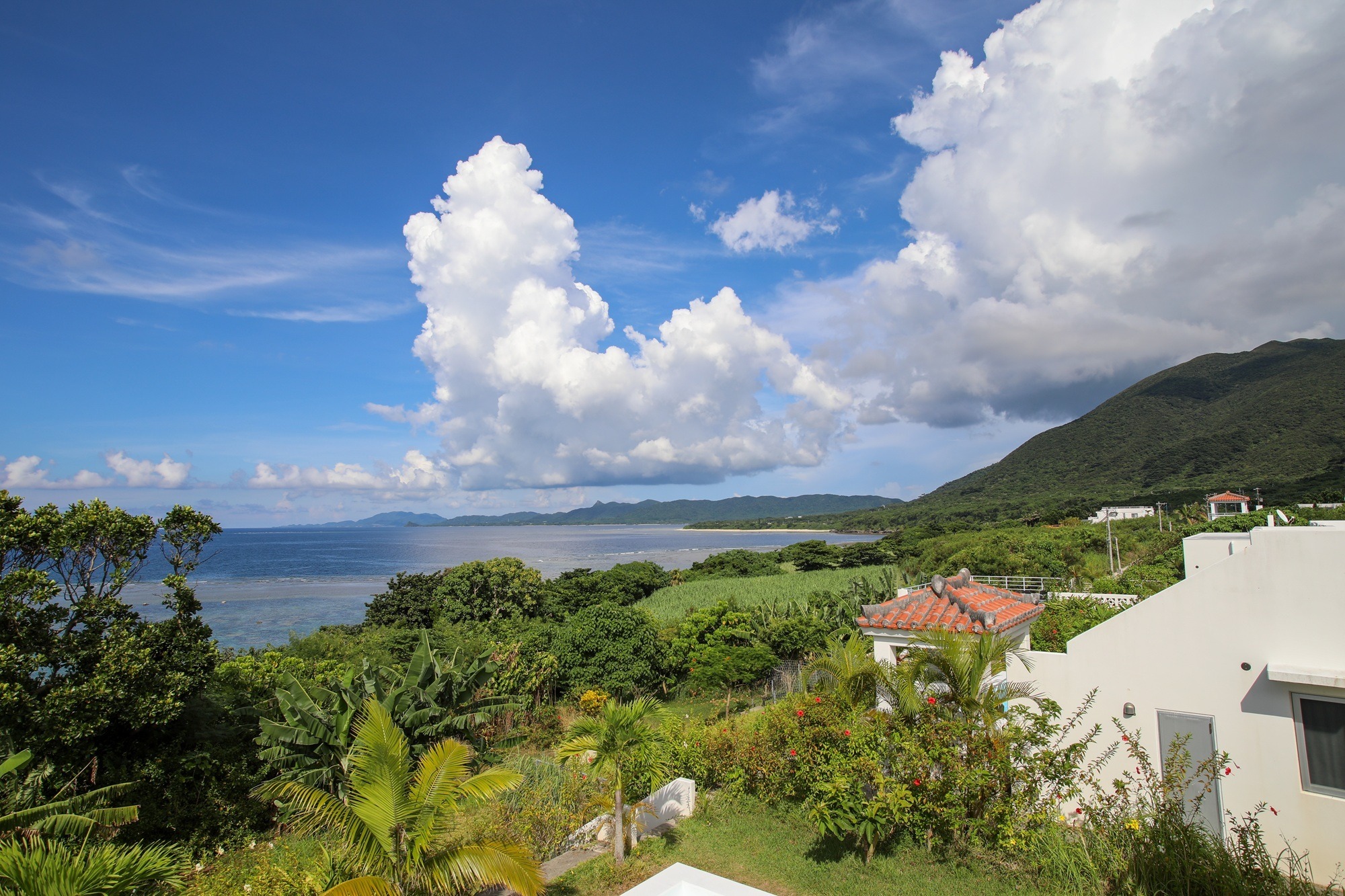 大人の癒し旅|洗濯乾燥機&キッチン完備|海まで徒歩1分 星空保護区の隠れ家プライベートプール付ヴィラ