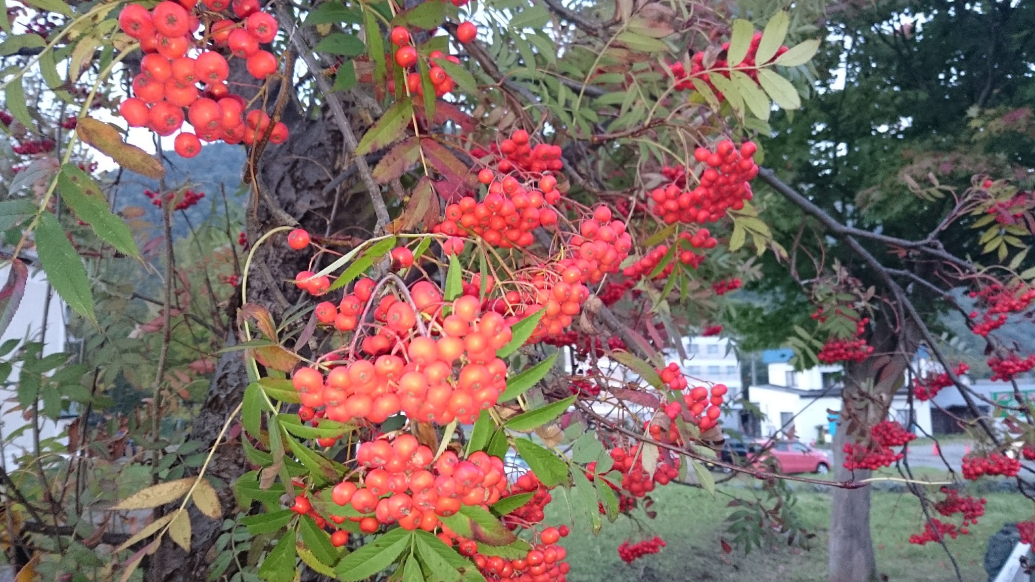 札幌の温泉地コンドミニアム定山渓410室限定新装済、露天風呂/民泊のnull