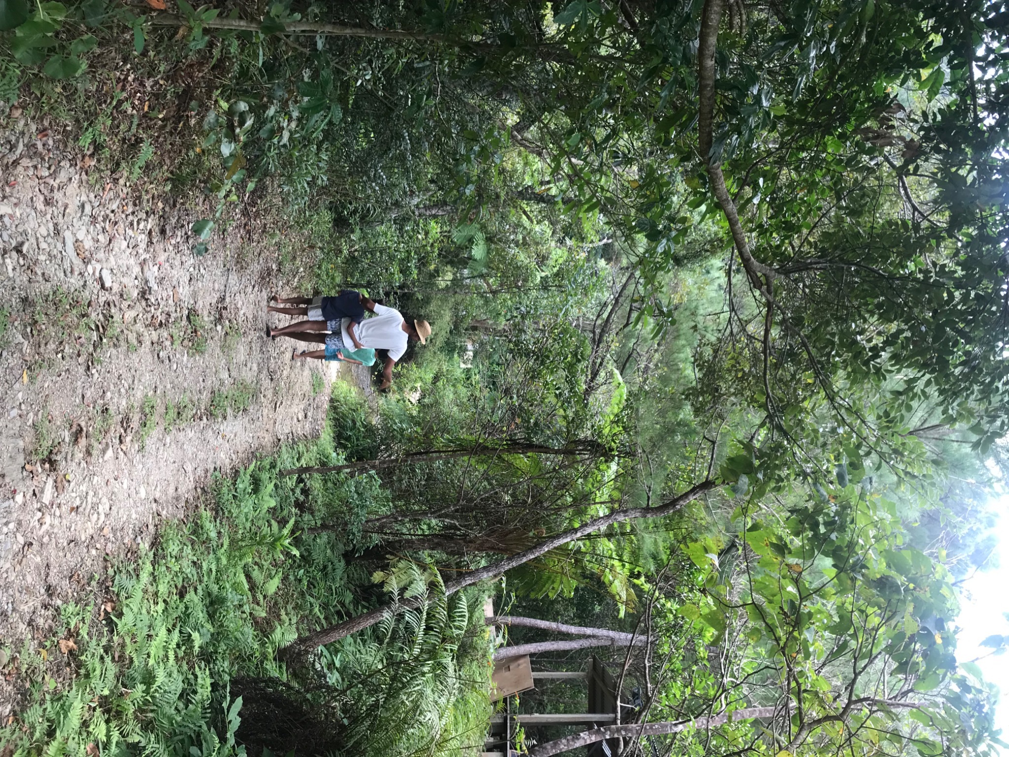 やんばる野草の宿【Ｖａｃａｔｉｏｎ　ＳＴＡＹ提供】 写真4