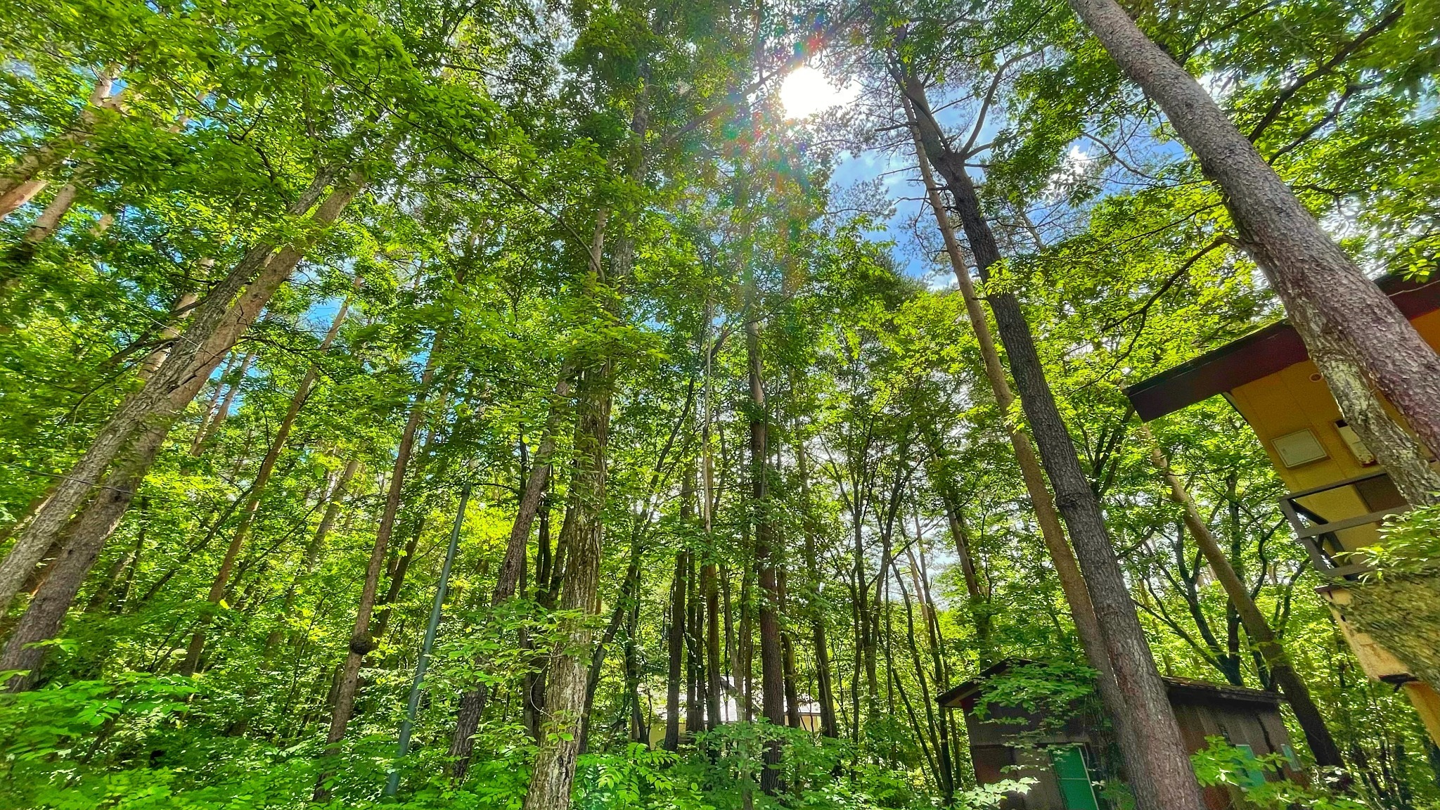 森に囲まれた静かな別荘地です☆
