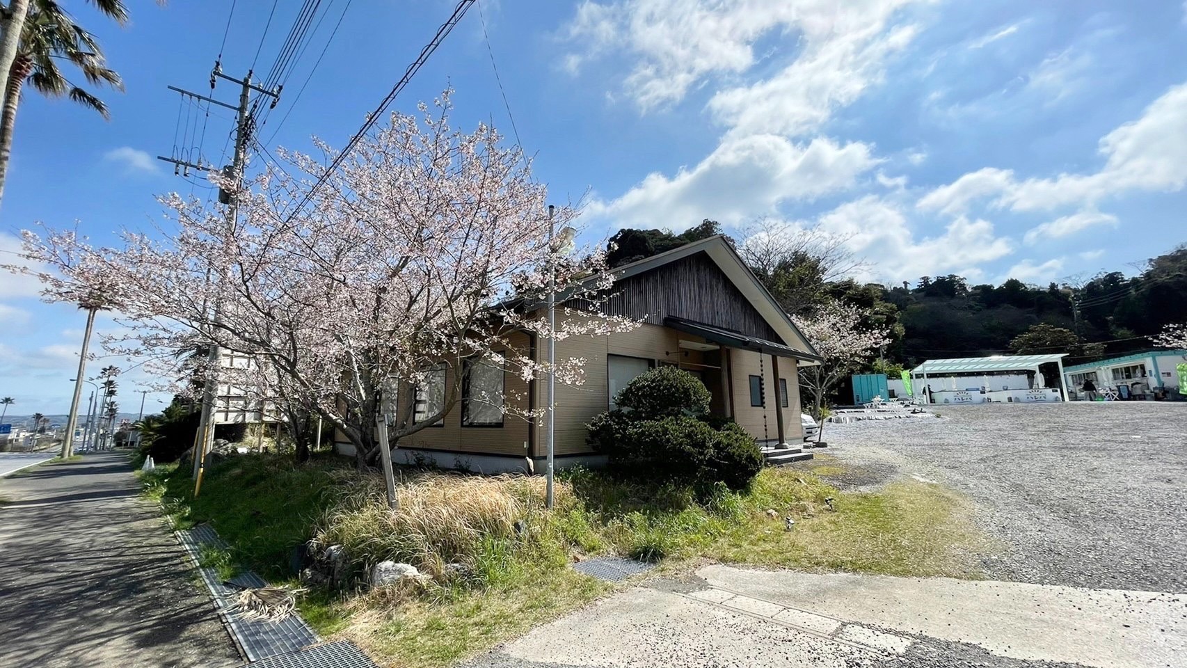 春にはお花見もできます。