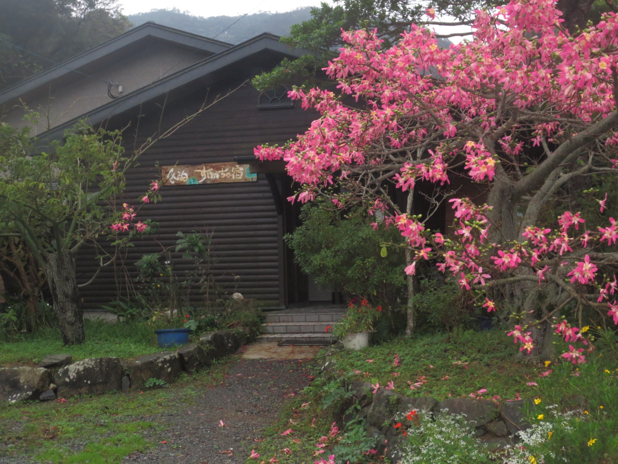 奄美大島の大自然の中の一日一組限定一棟貸しゲストハウス『奄美すけがちの宿』