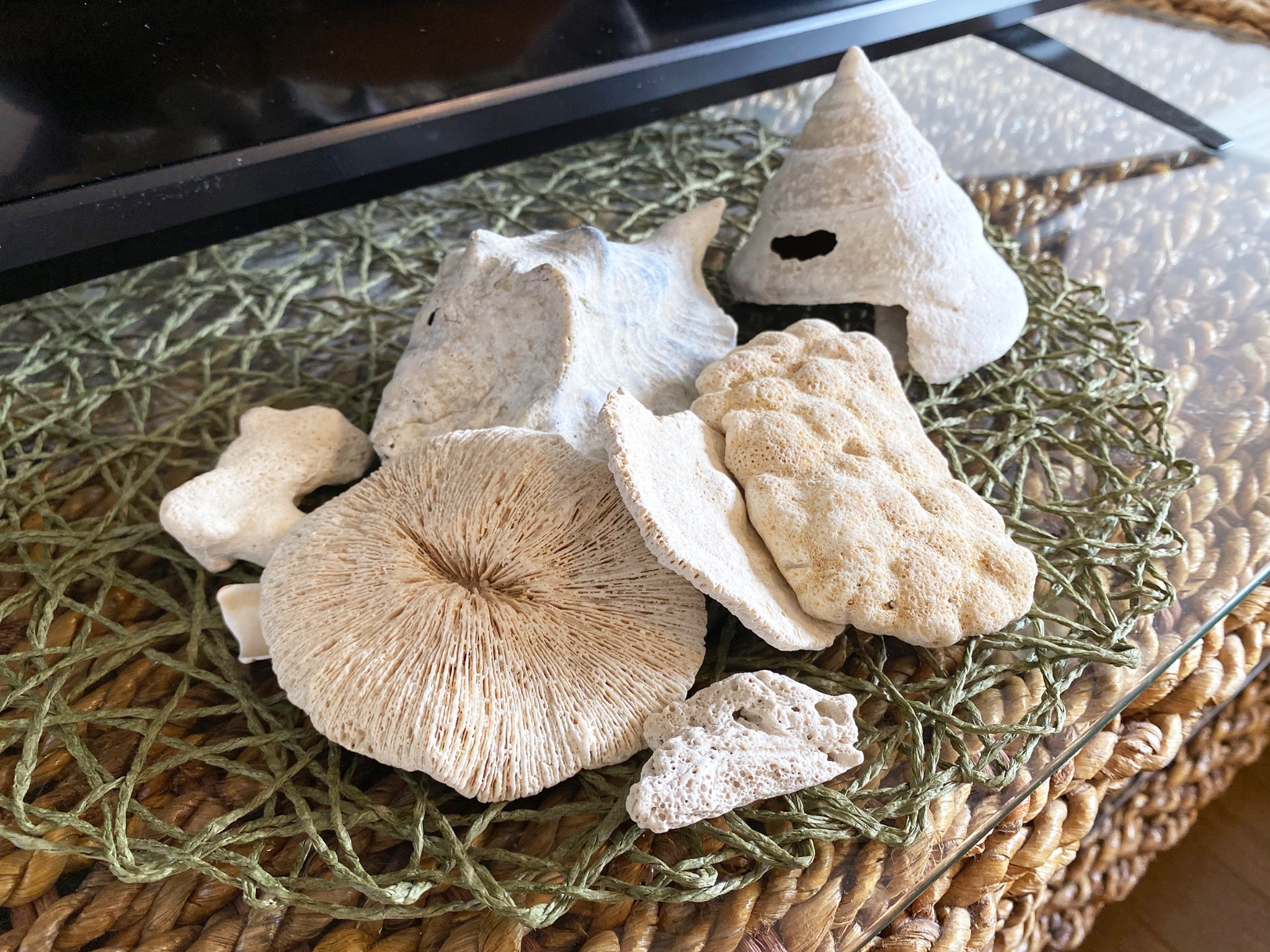 でも南国らしく