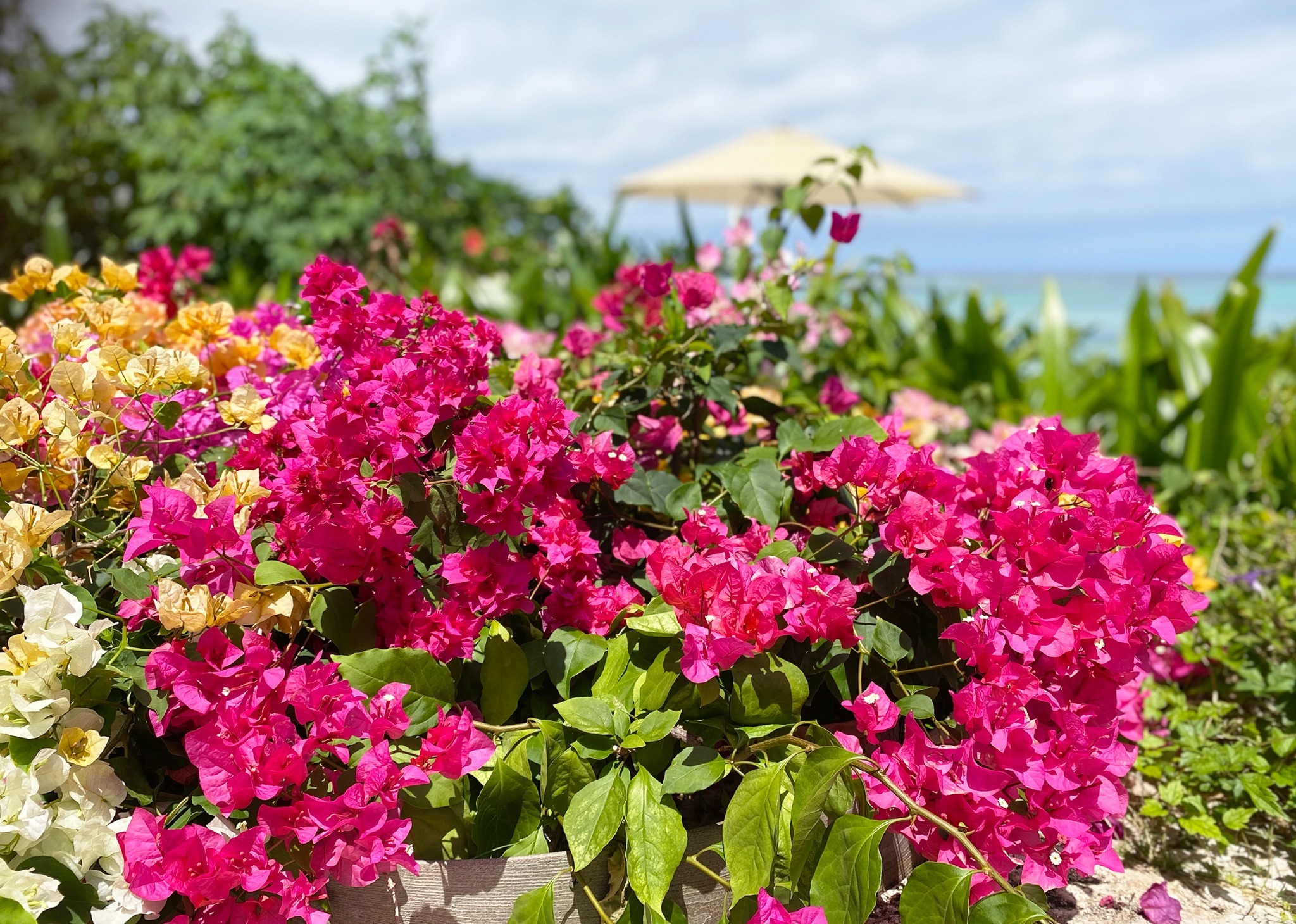 心ゆくまでリラックス♪