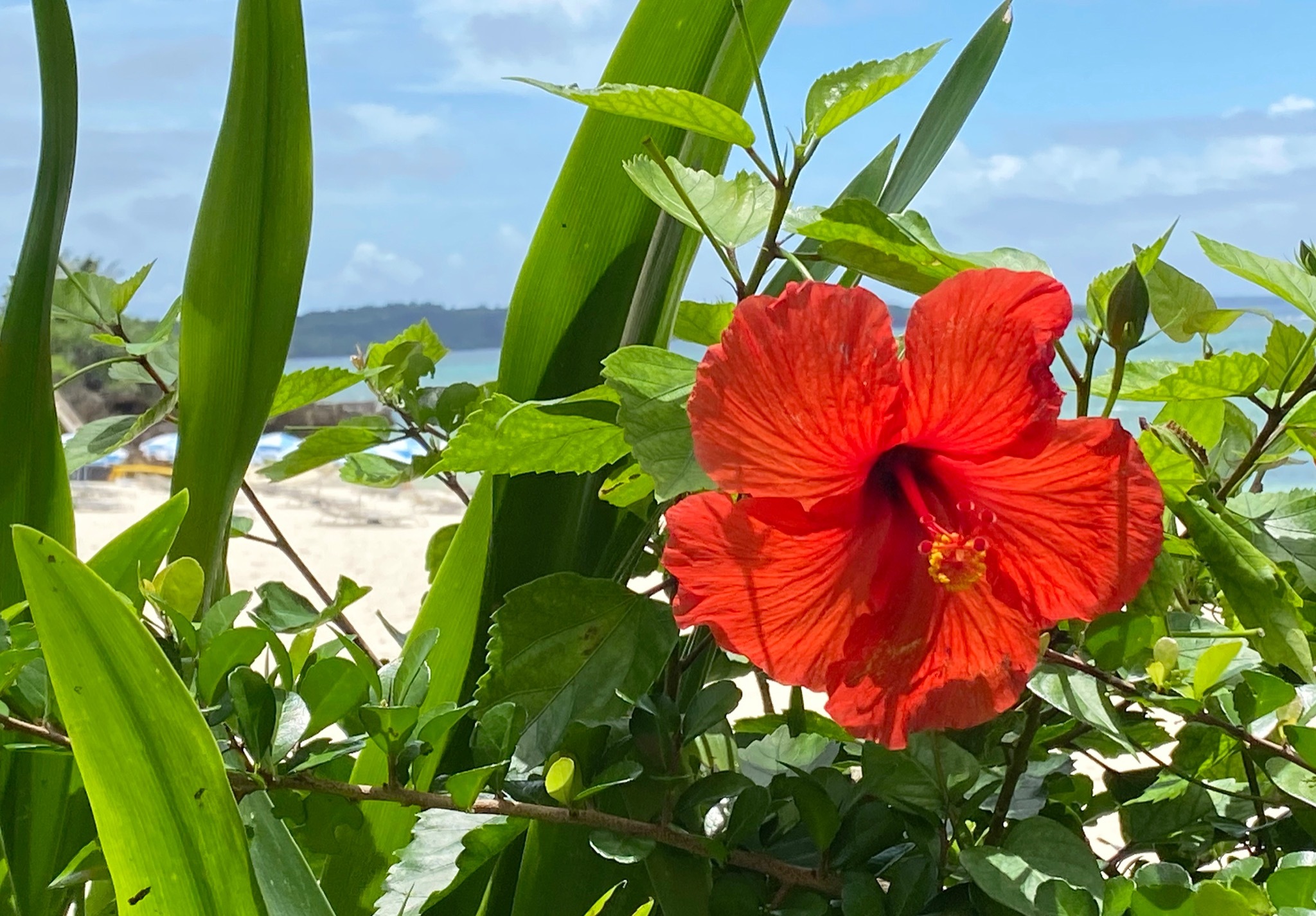 のんびりゆったりと