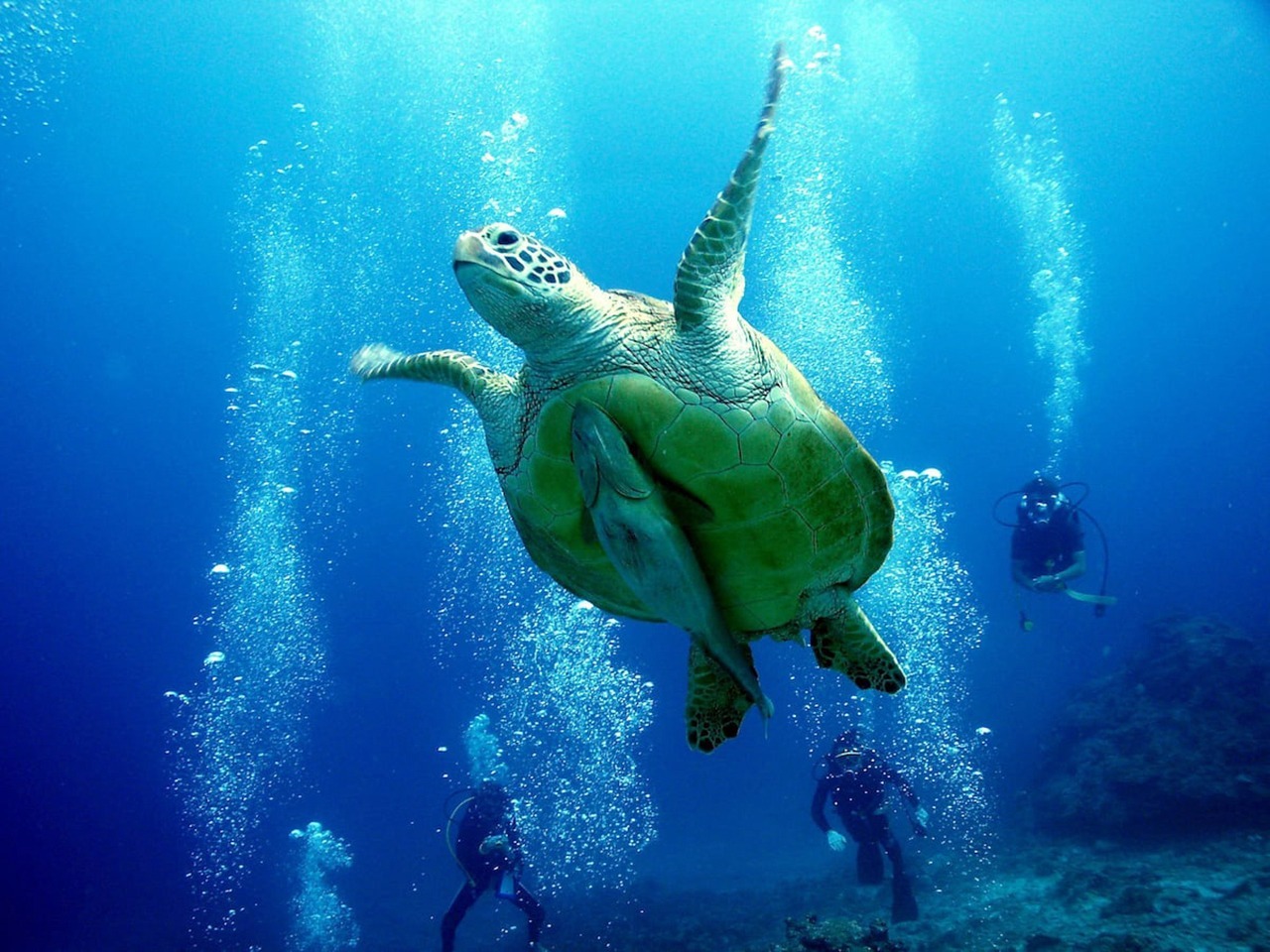 青の洞窟へもすぐ!