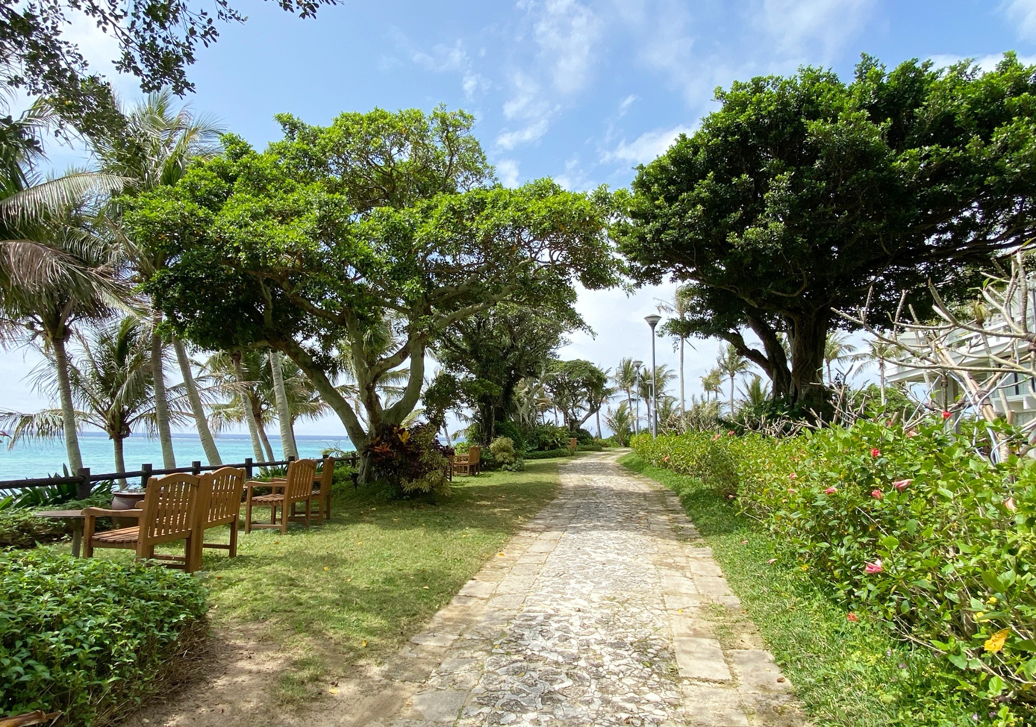 南国ムード全開