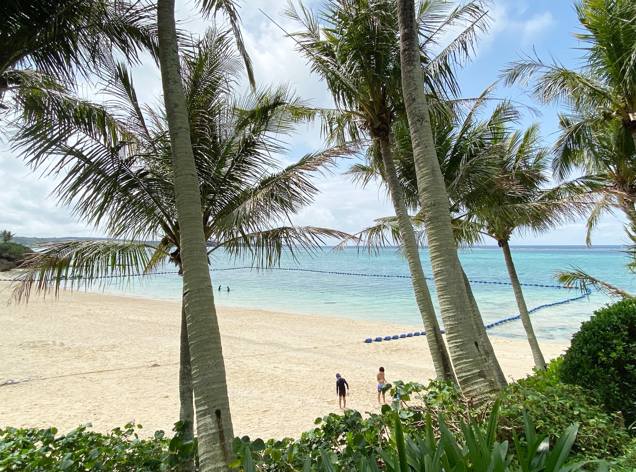 美しいムーンビーチ