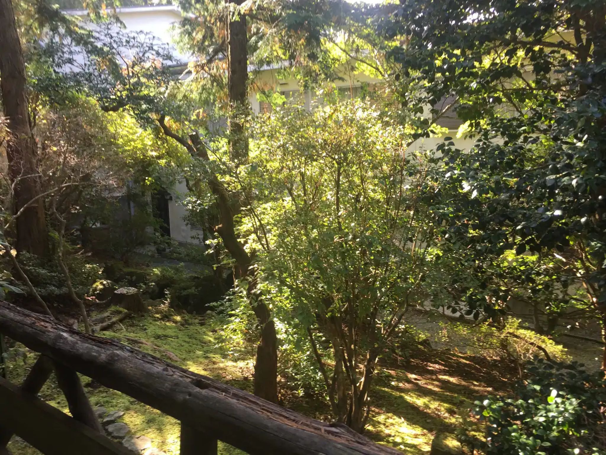 長期滞在テレワーク歓迎!無料wifi完備!箱根の閑静な別荘地!