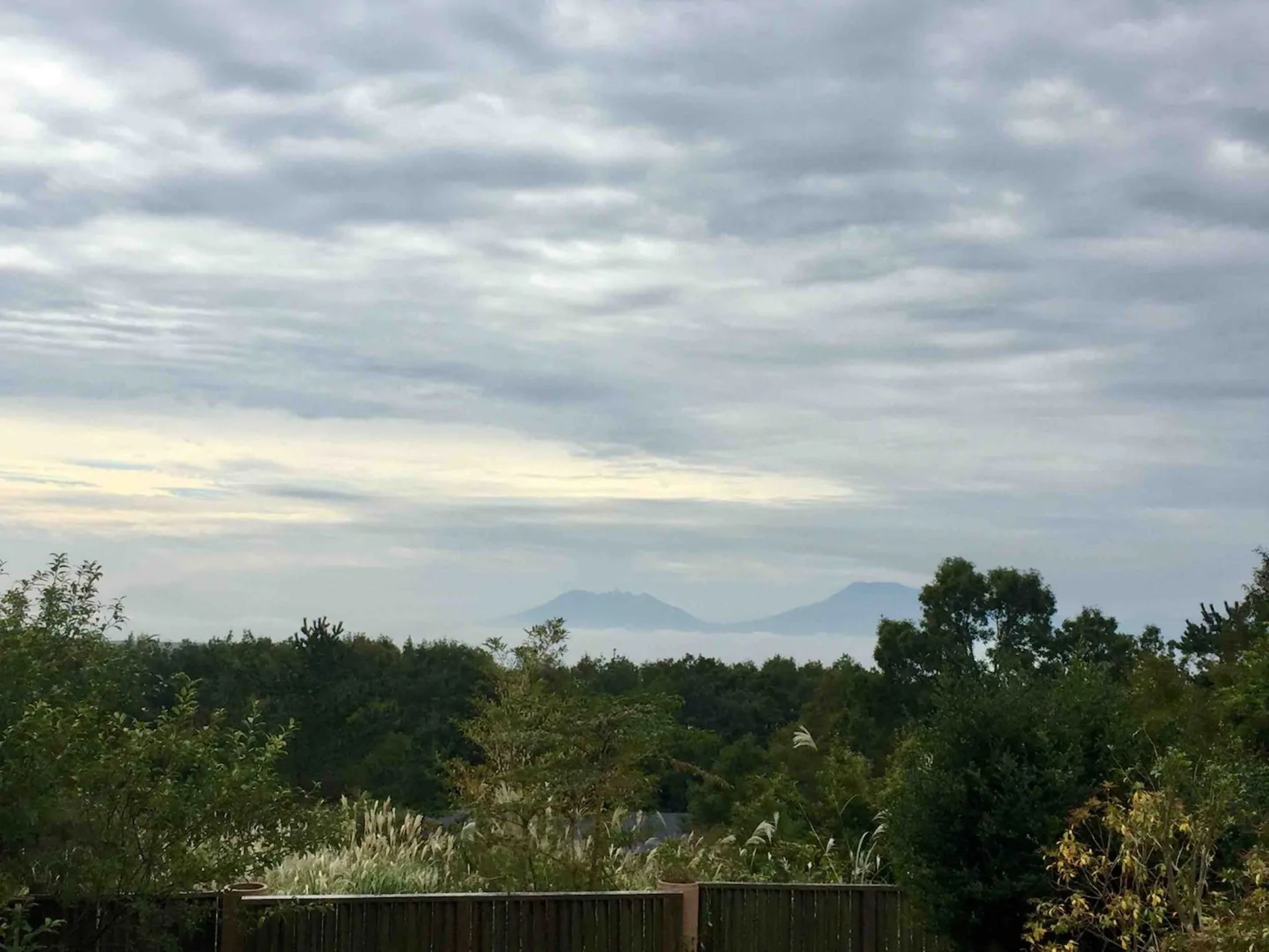Ｌｉｔｔｌｅ　Ｈｙｇｇｅ【Ｖａｃａｔｉｏｎ　ＳＴＡＹ提供】 写真2