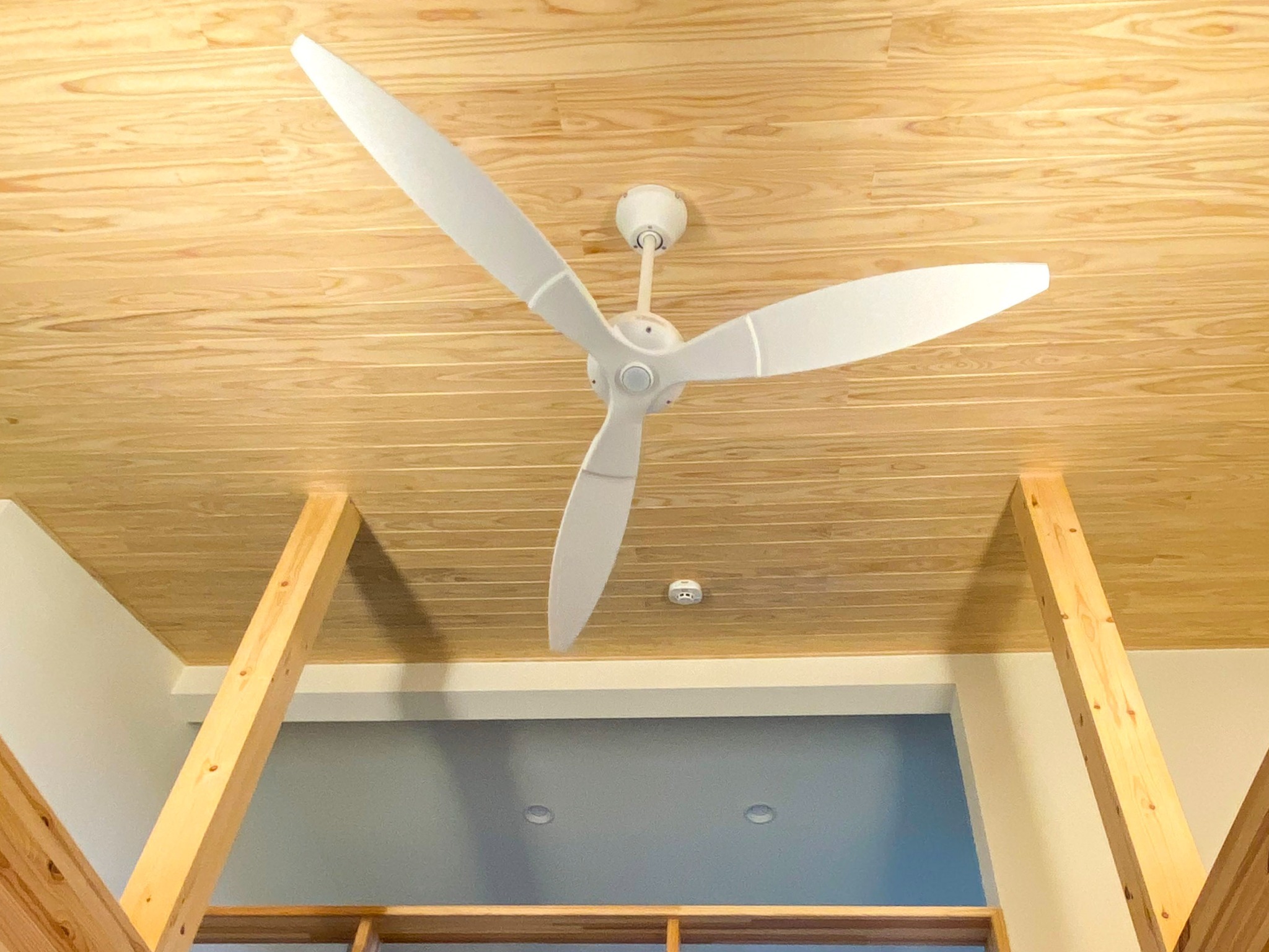 ・リビングの天井にはシーリングファンを設置