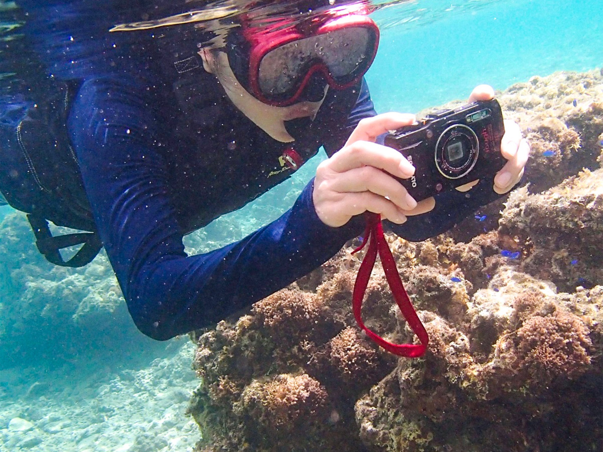 ・シュノーケリング かわいいお魚たちをパシャリ!