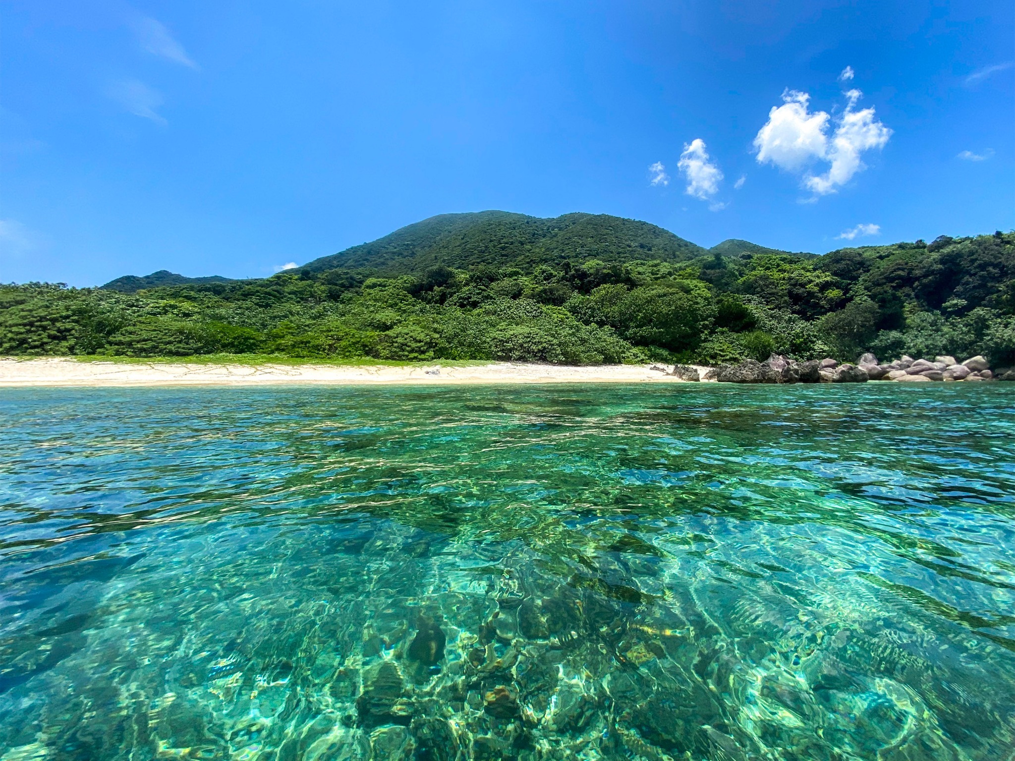 ・米原ビーチ 各種アクティビティもご案内いたします