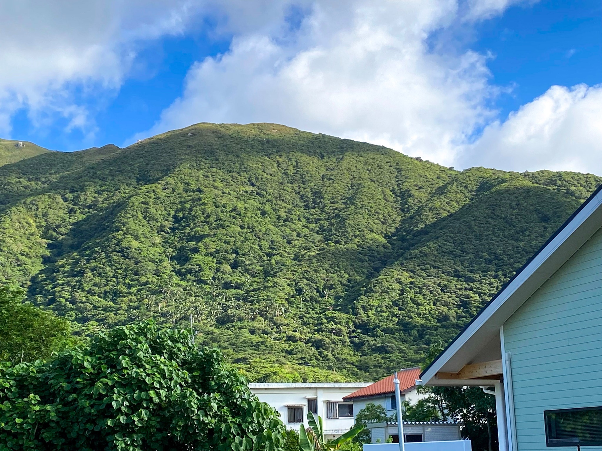 ・庭から眺める桴海於茂登岳(フカイオモトダケ)