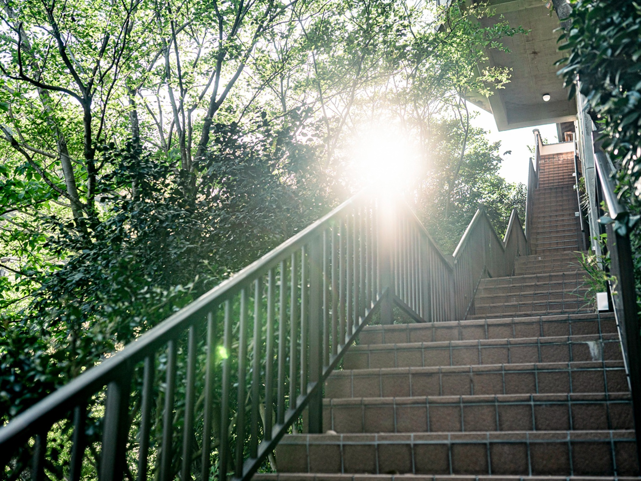 ・【階段】当宿は高台にあるため玄関までは階段をご利用ください