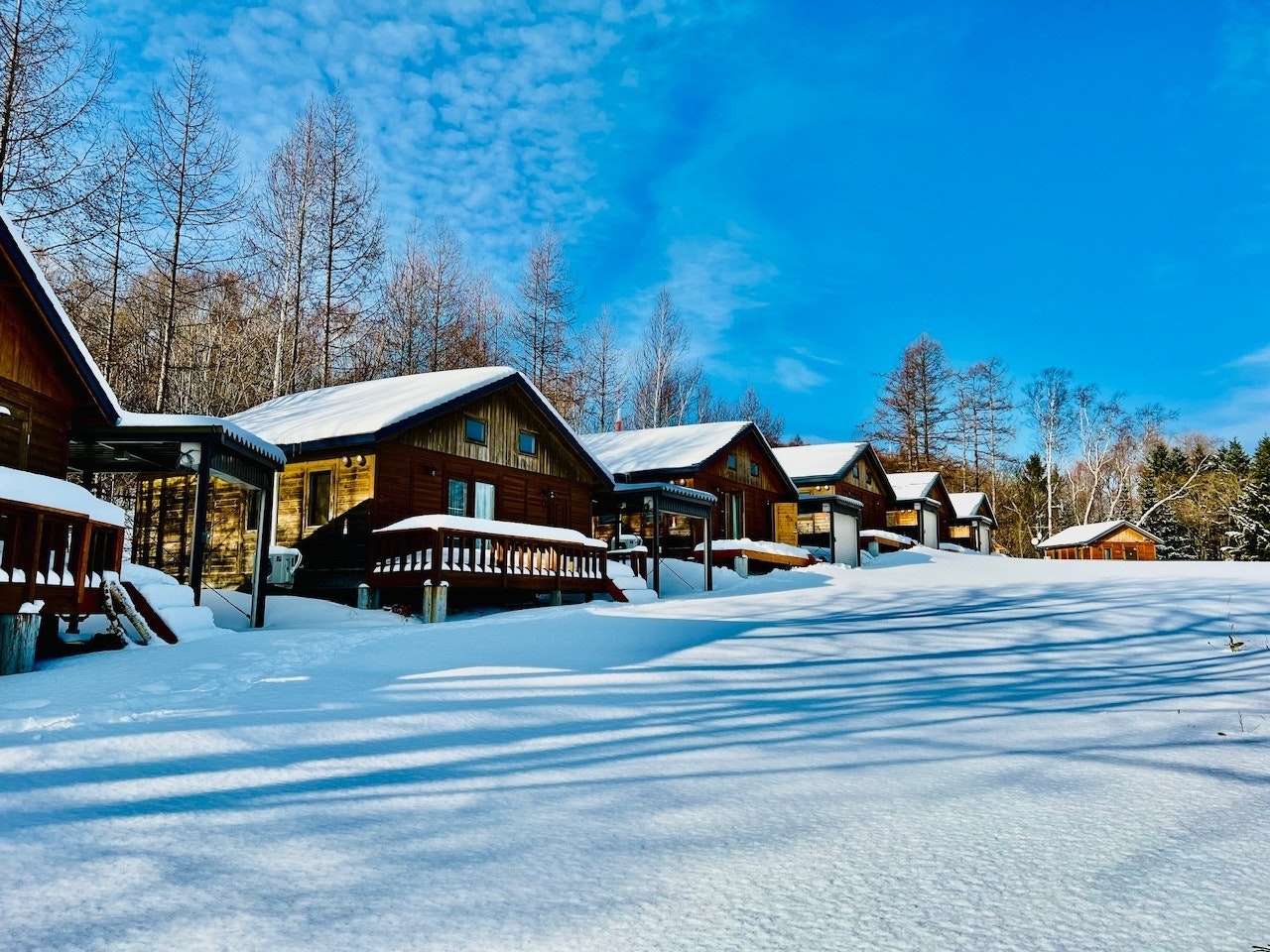 【ベッド3台】白樺の森コテージ White Birch Cottage