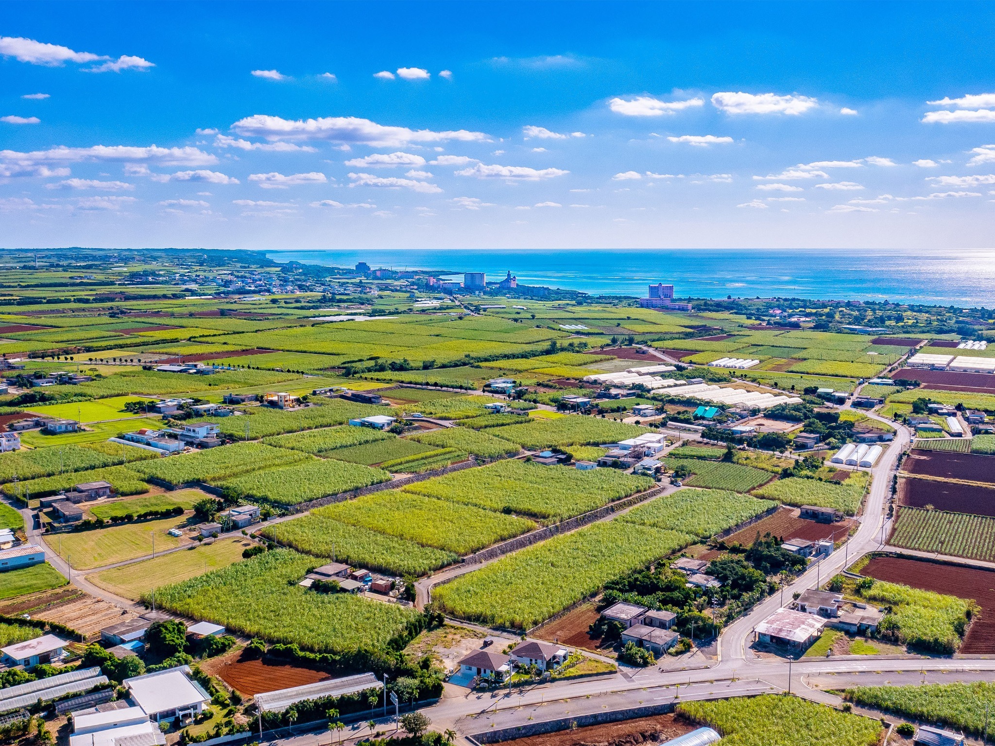 ・宿周辺の風景:さとうきびや葉タバコの畑に囲まれています