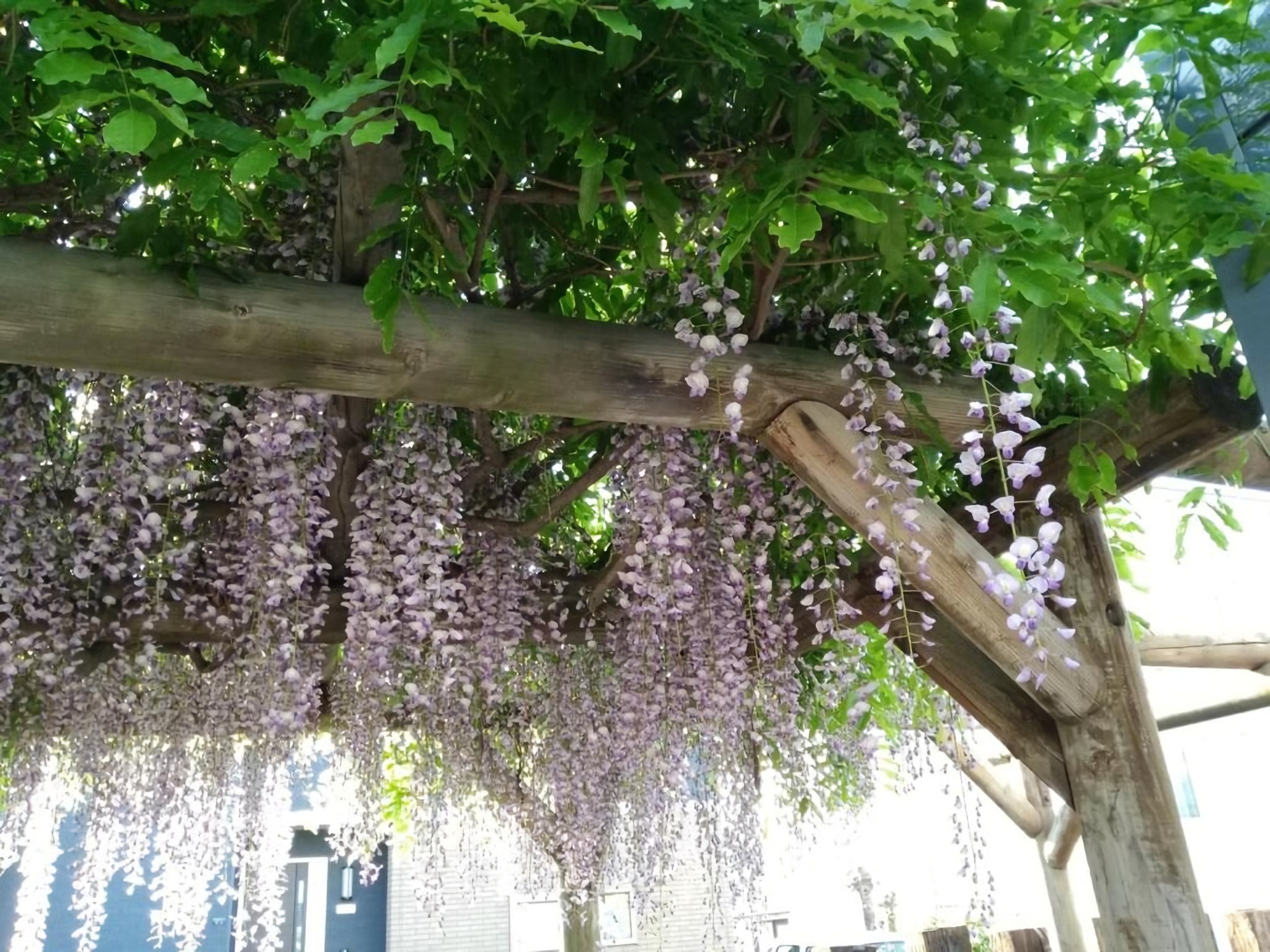 個室A-札幌駅から20分|シンプル×ワークケーション|くつろぎの館