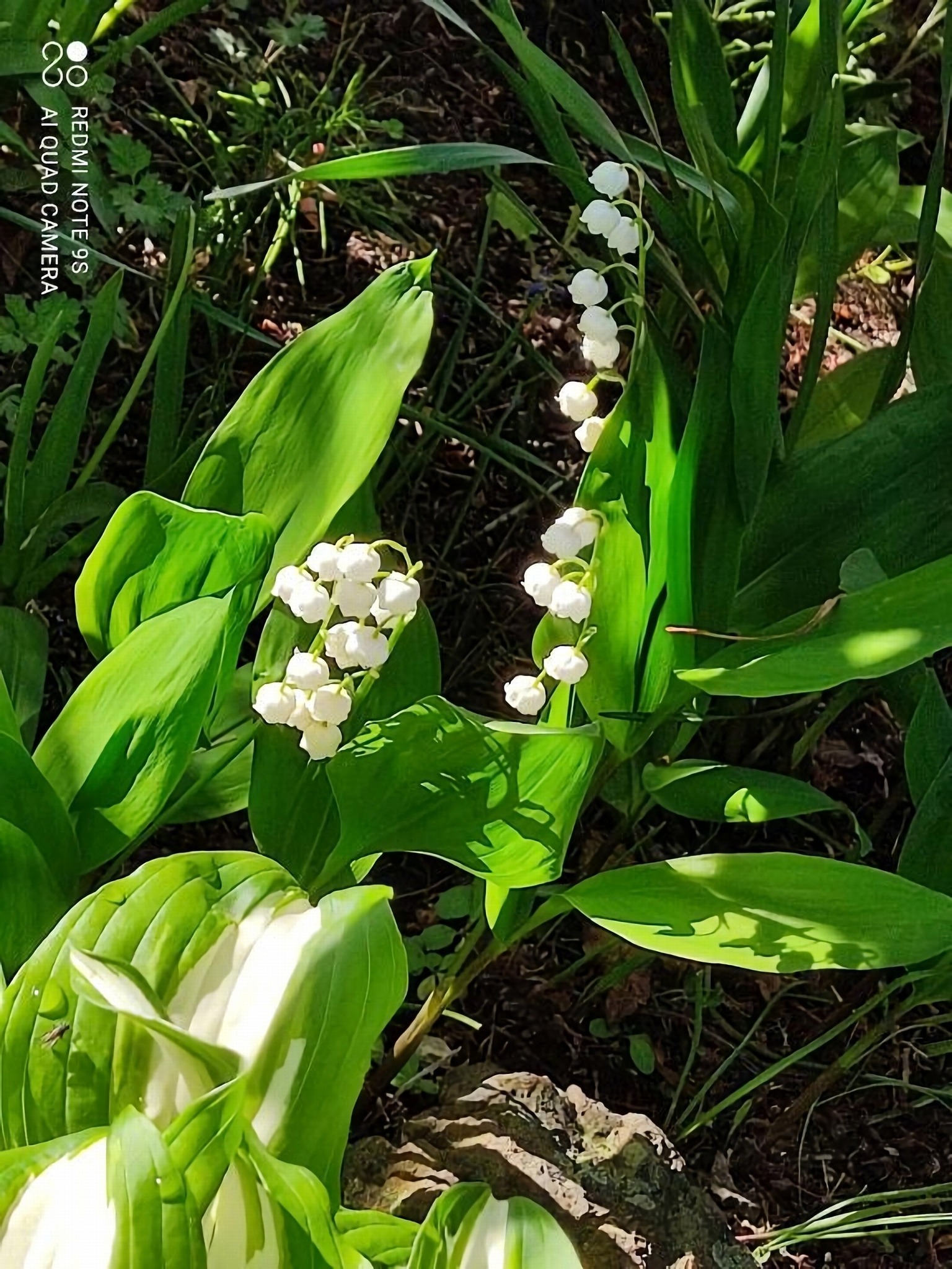 個室A-札幌駅から20分|シンプル×ワークケーション|くつろぎの館