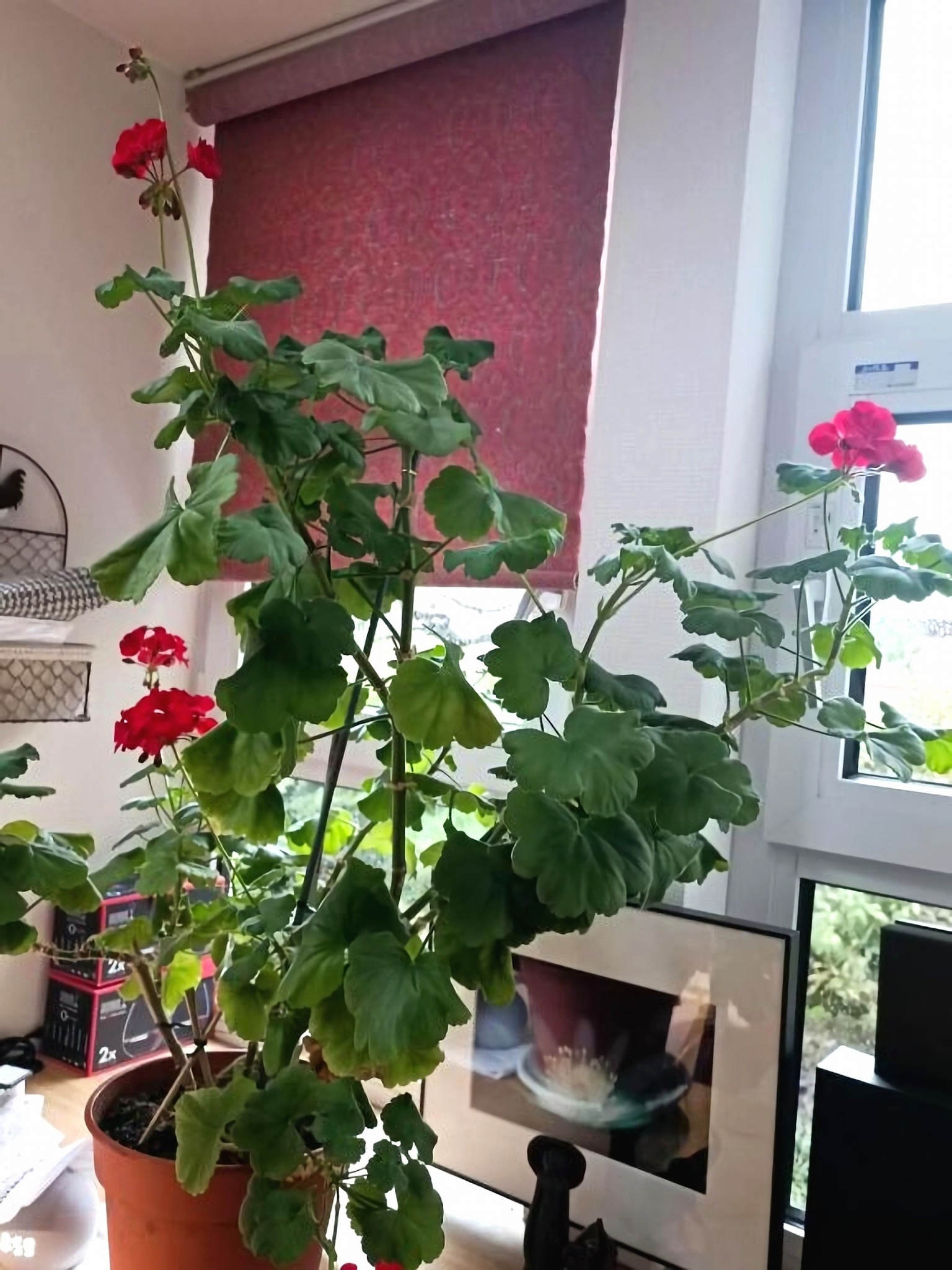 個室A-札幌駅から20分|シンプル×ワークケーション|くつろぎの館