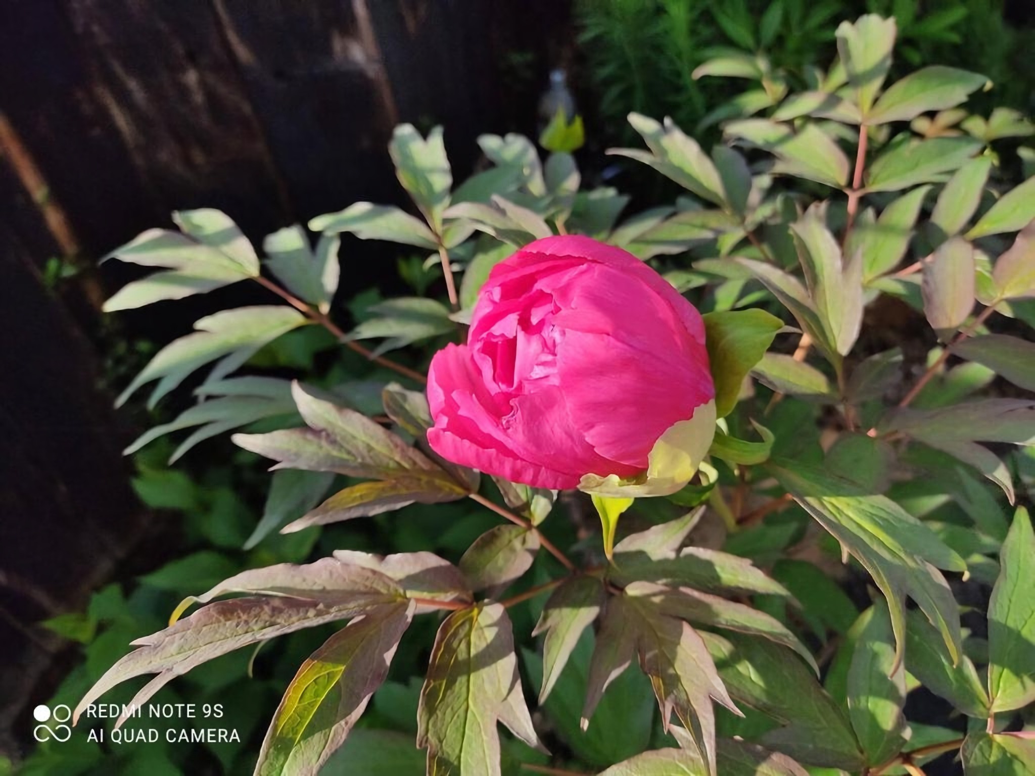 個室C- 天窓付き|涼風満喫ロマンチックなインテリア|静かな環境