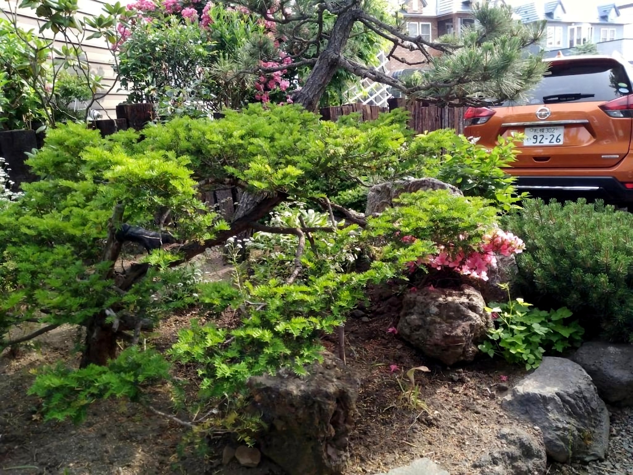 個室D- 緑のテラス・縁側・本格和室