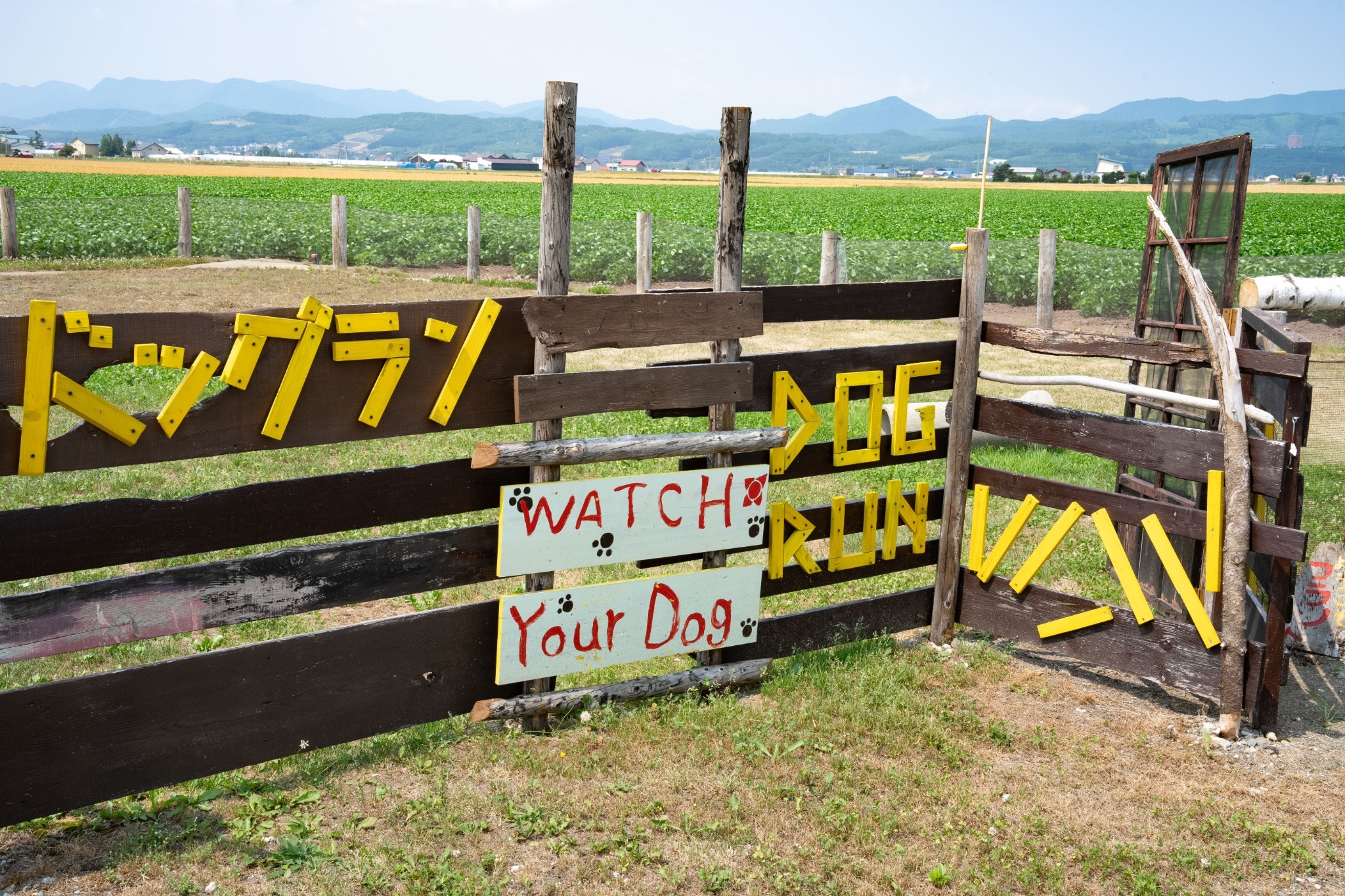 ドッグラン楽しいな~