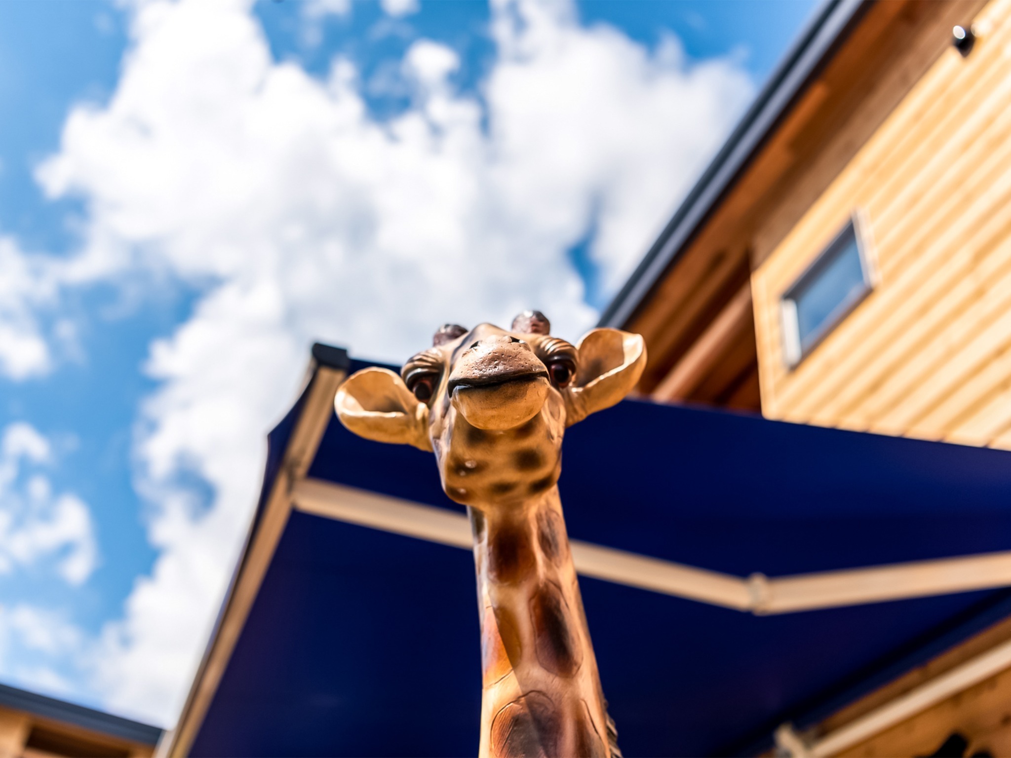 ・首を長~くして皆様をお待ちしています(オブジェです)