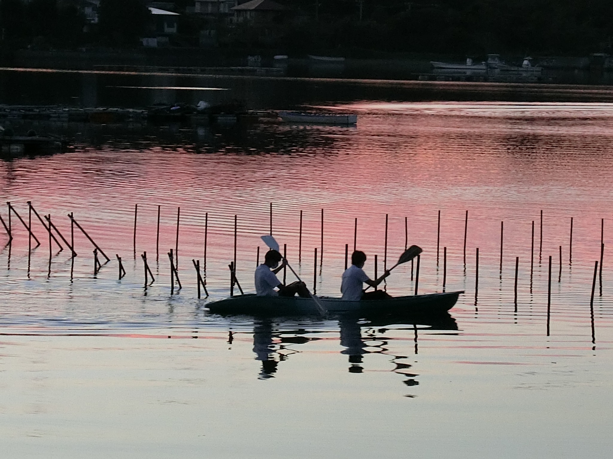夕やけの英虞湾に漕ぎ出す