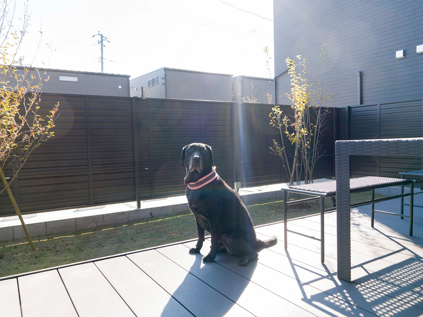 河口湖 山中湖で人気の犬 ペットと泊まれる宿 ホテル10選 温泉付きやドッグラン付きなど特徴別にご紹介 ペトコト