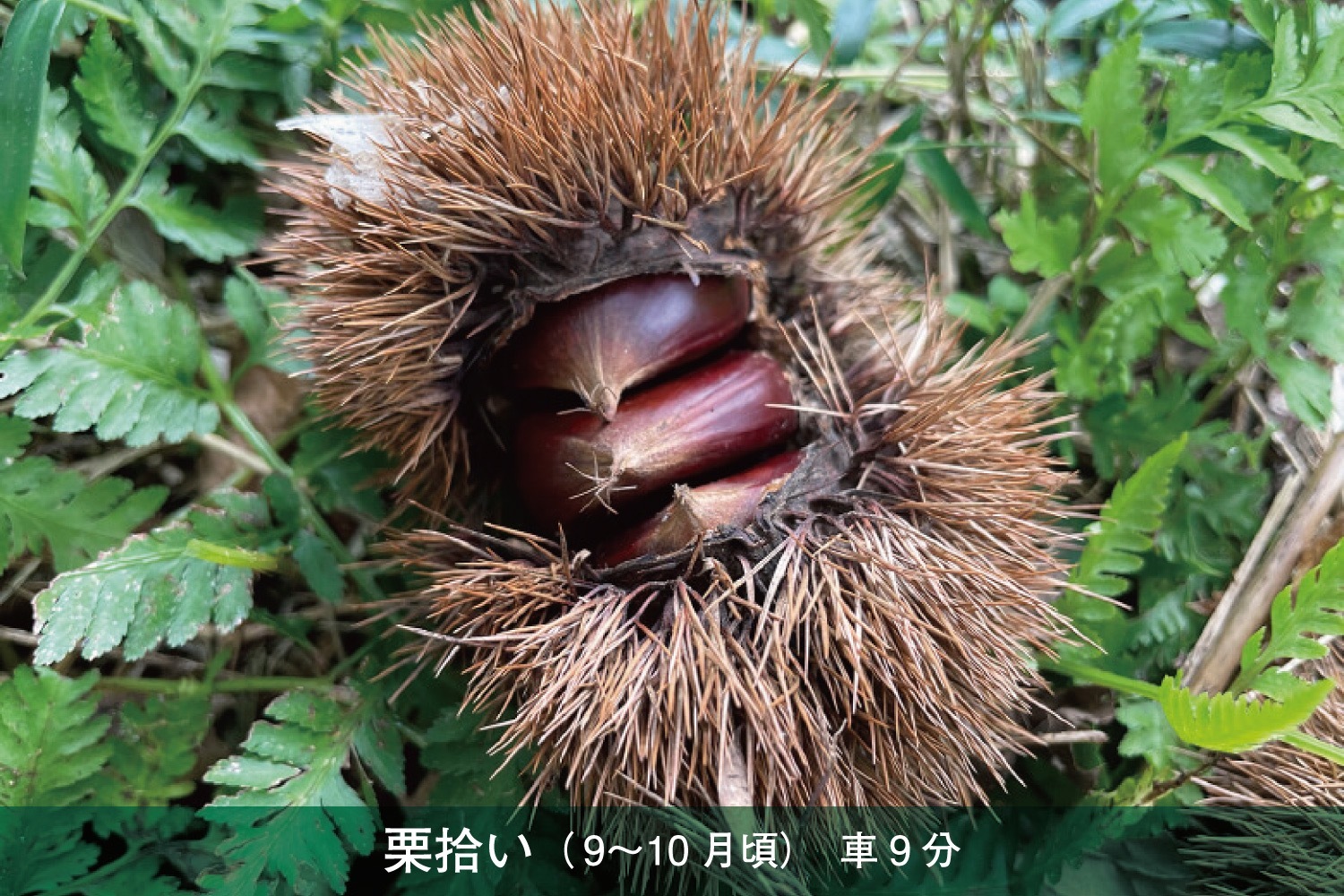 120平米超の平屋一棟まるごと貸し切り