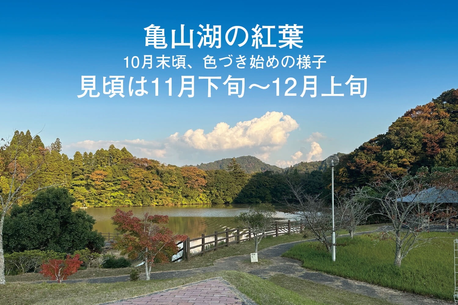 120平米超の平屋一棟まるごと貸し切り